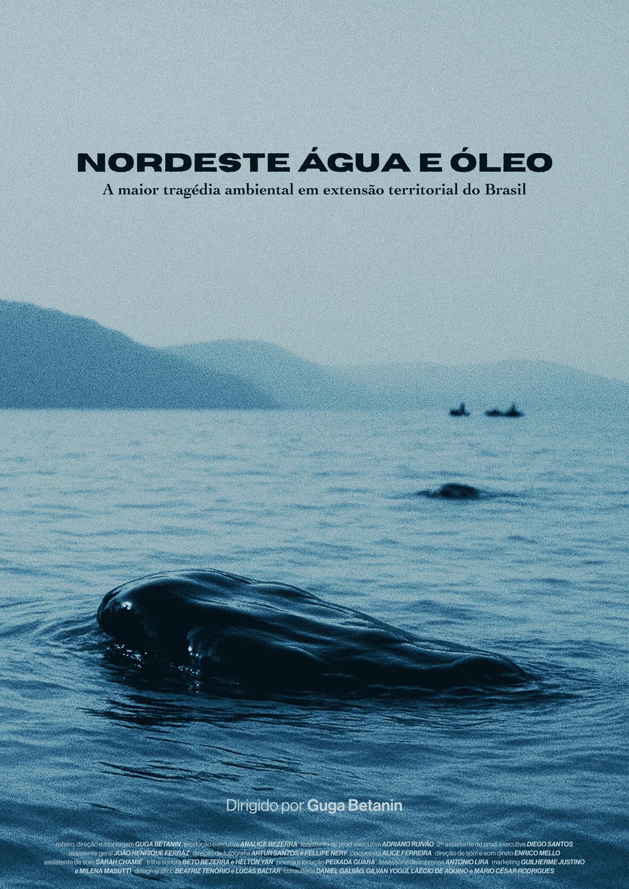 Nordeste Água e Óleo preview 2