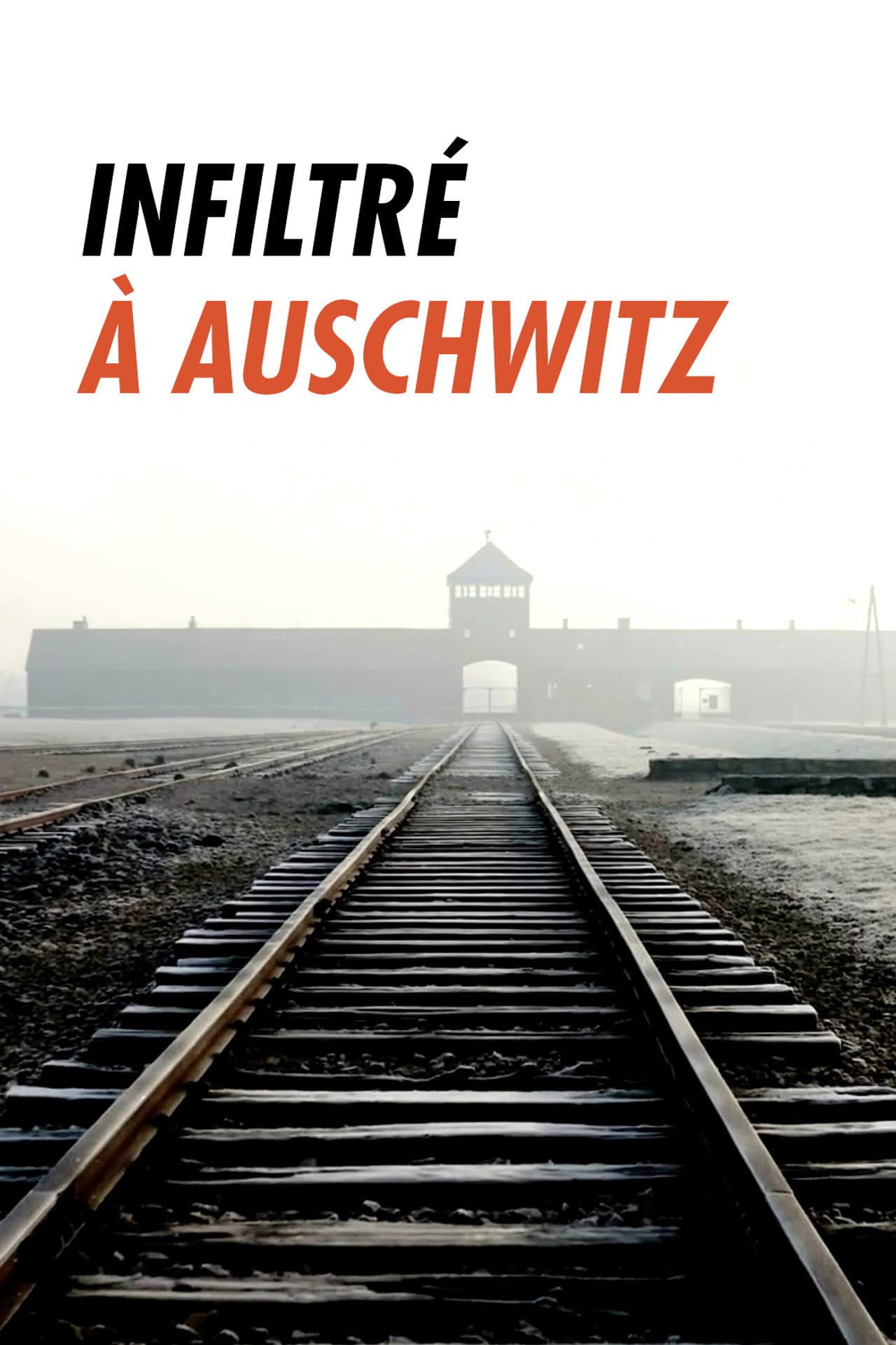Infiltré à Auschwitz preview 2