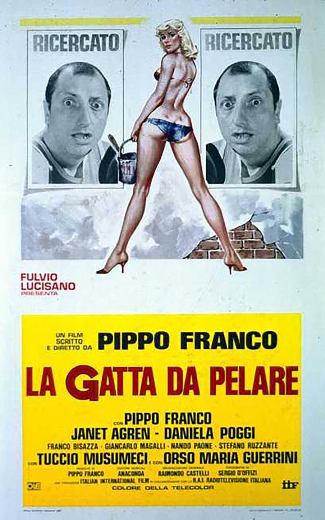 La gatta da pelare preview 2