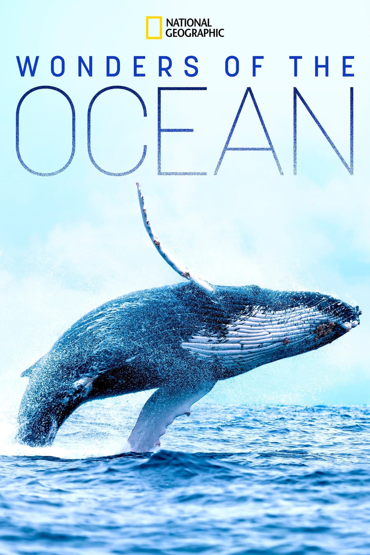 Wonders of the Ocean preview 2