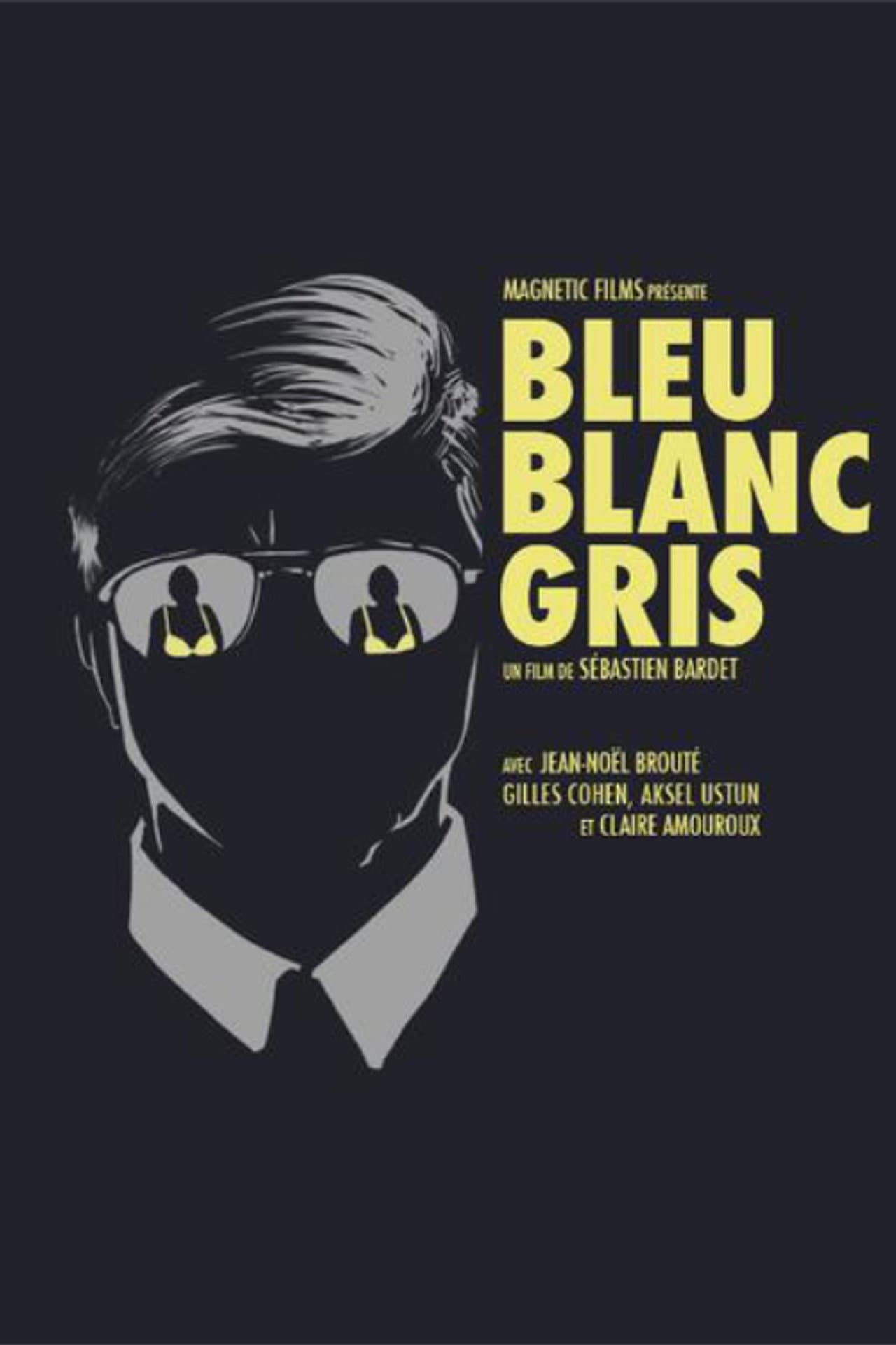 Bleu Blanc Gris preview 1
