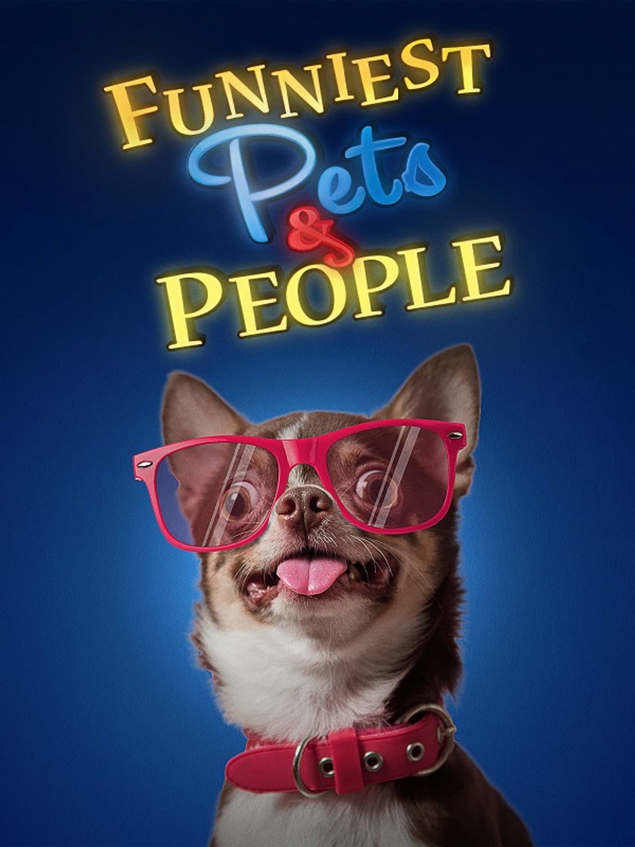 Funniest Pets & People preview 2
