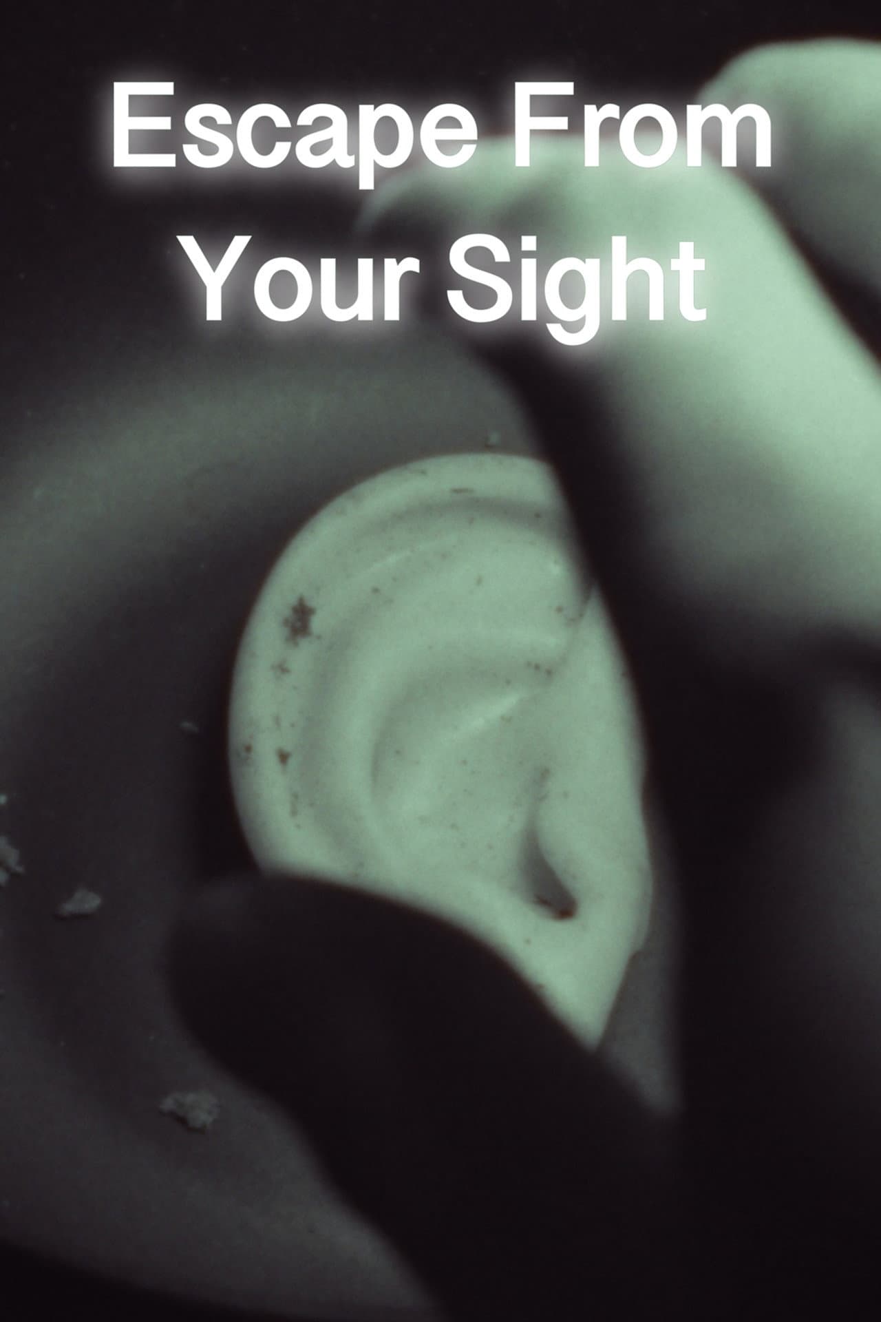 Escape From Your Sight preview 2