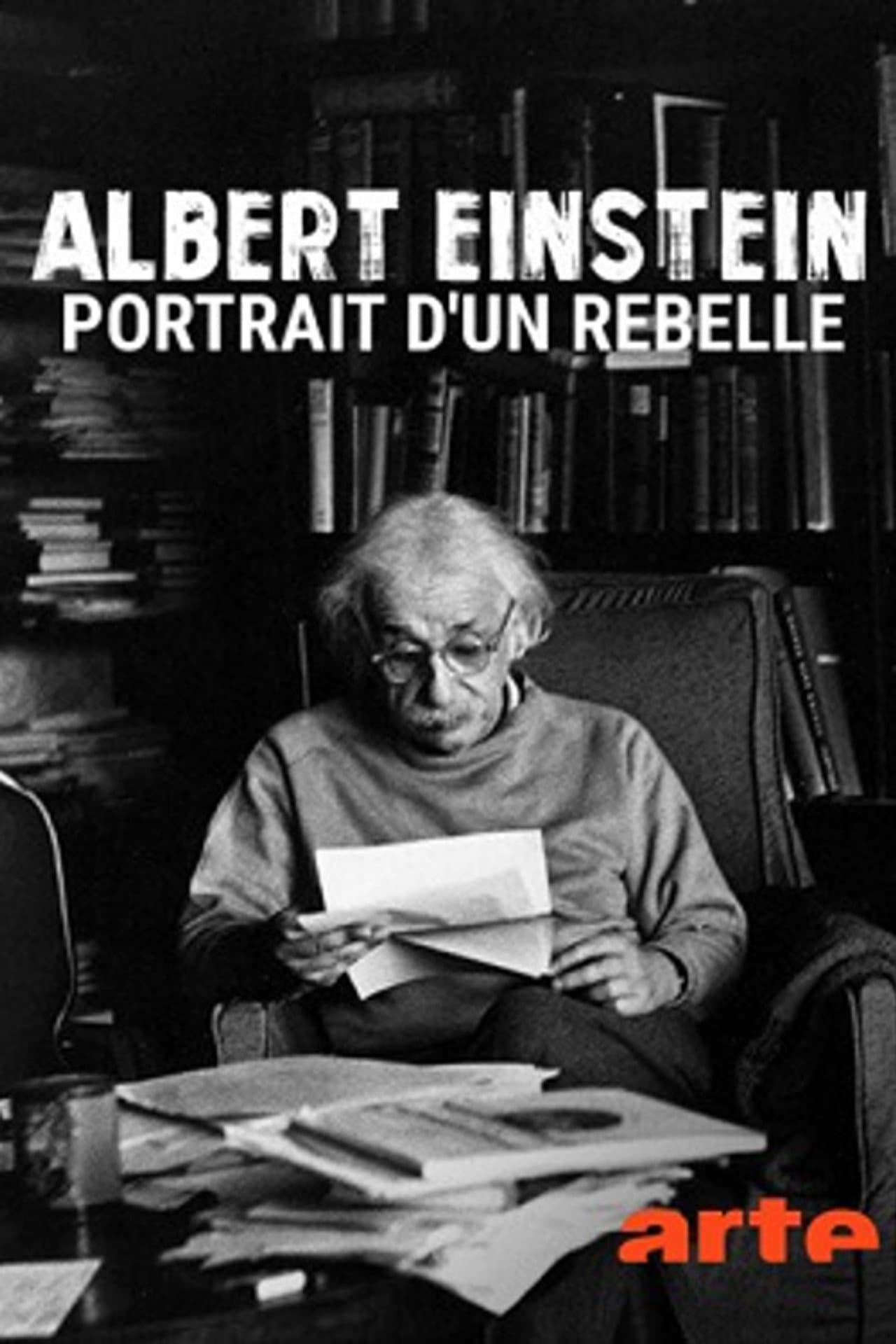 Mythos Einstein - Leben und Werk eines Rebellen preview 1
