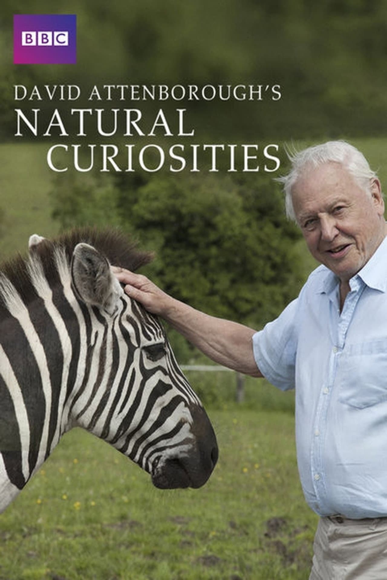 David Attenborough's Natural Curiosities preview 2