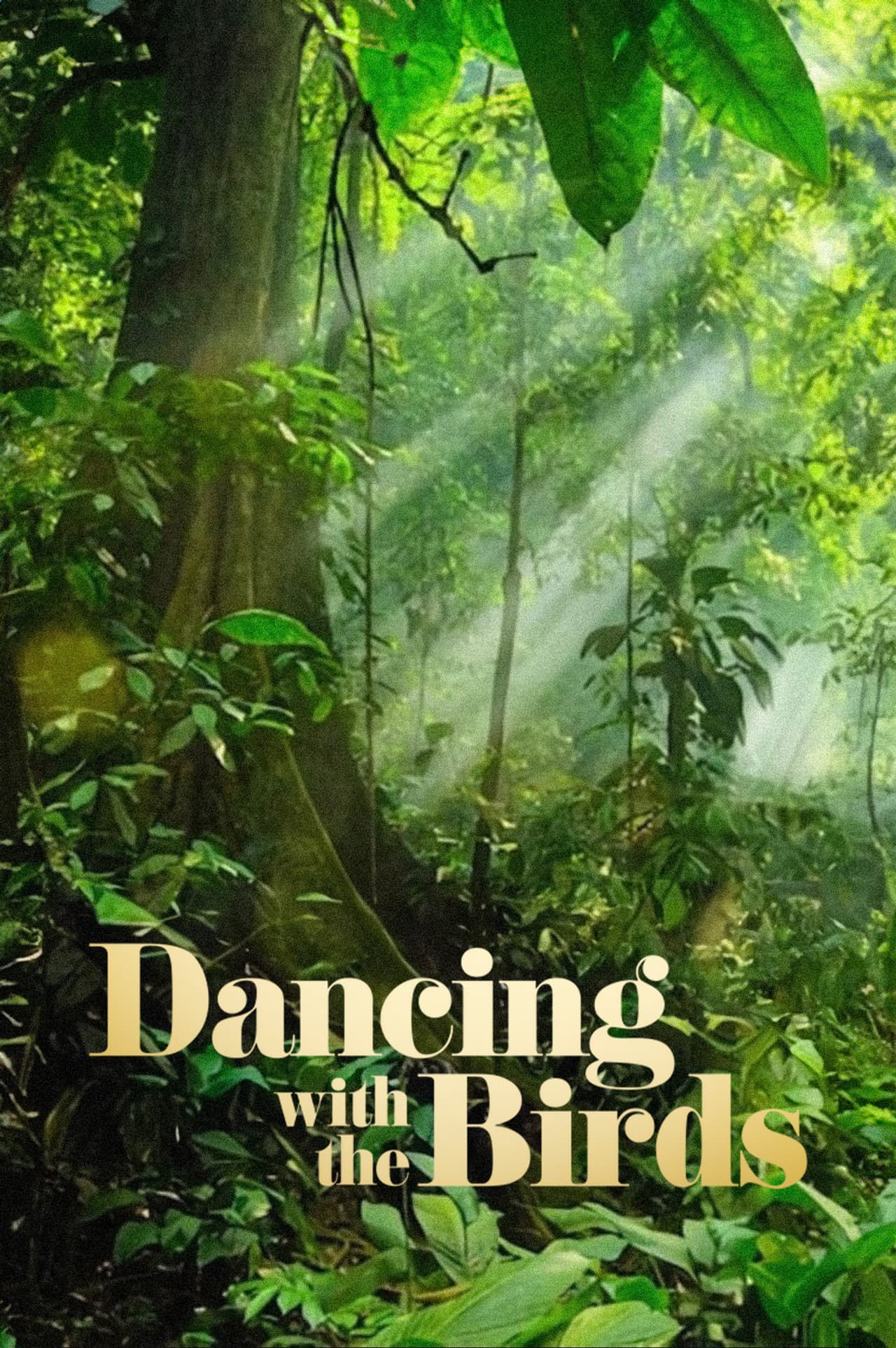 Dancing with the Birds preview 2