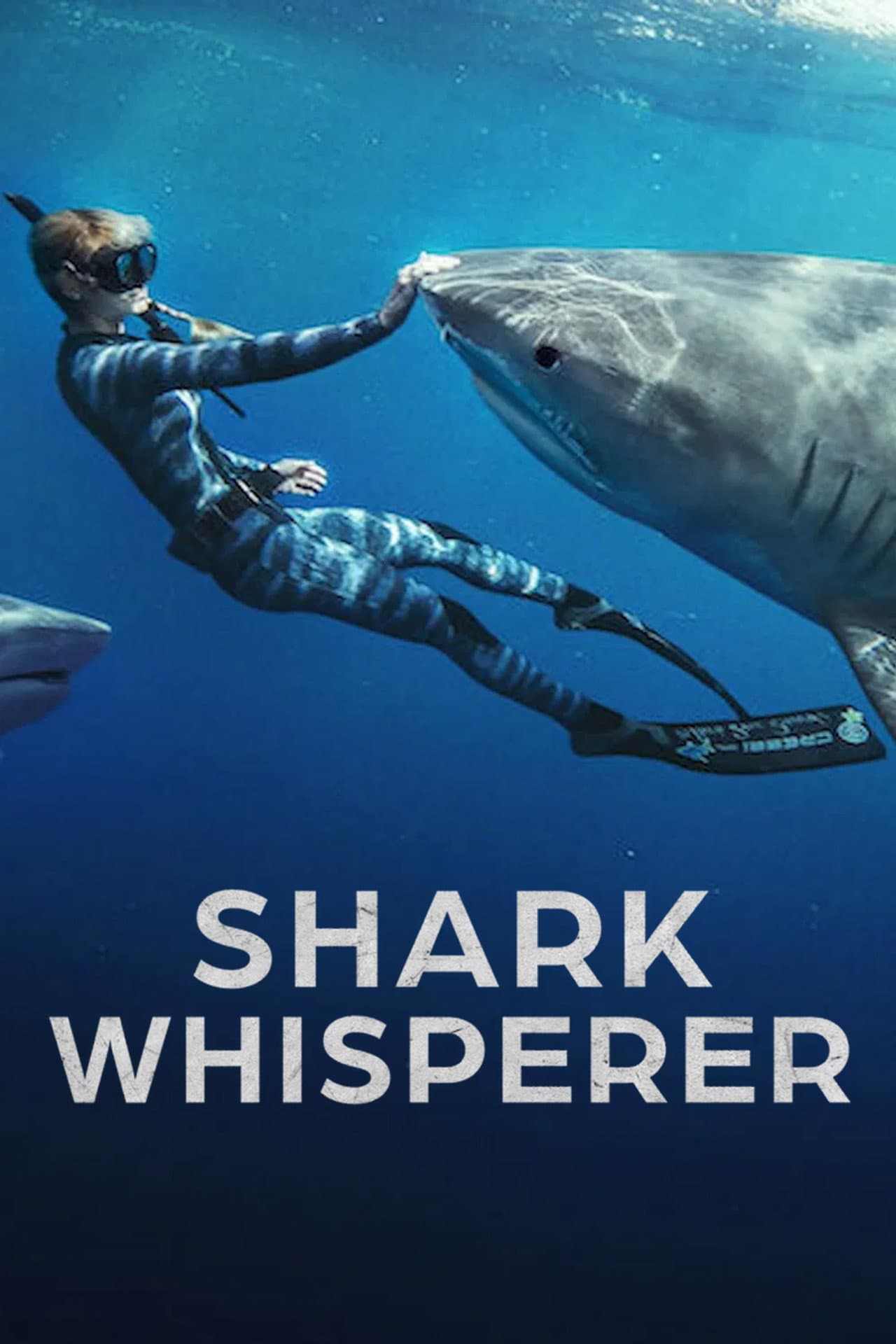 Shark Whisperer preview 2