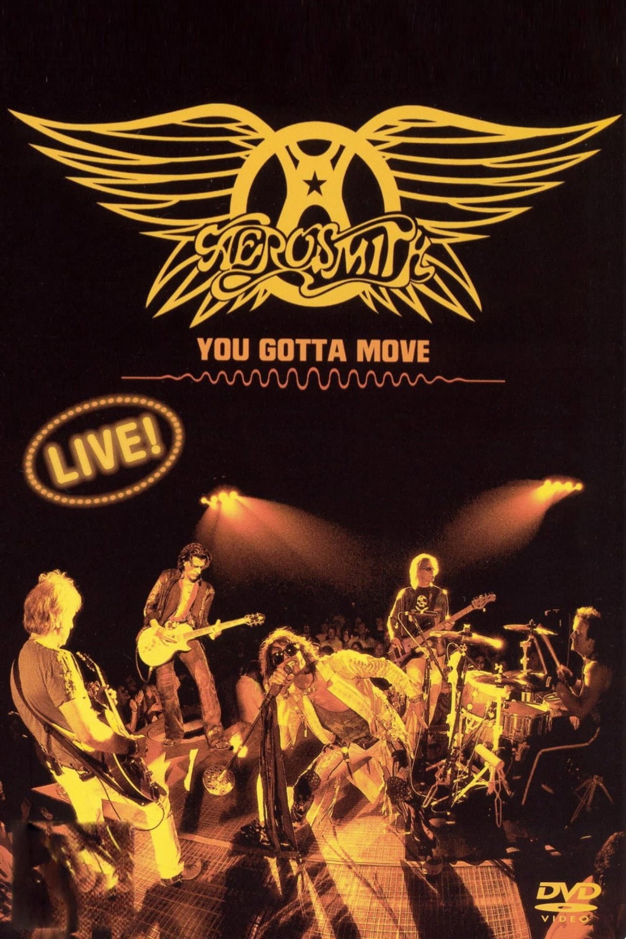Aerosmith - You Gotta Move preview 2