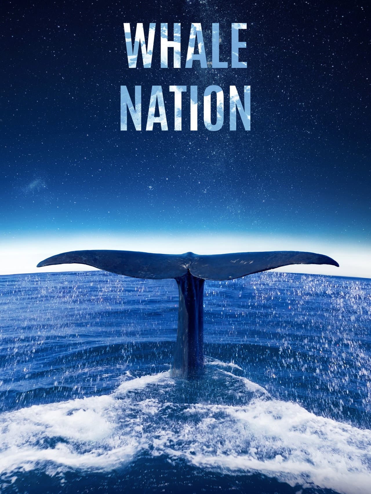Whale Nation preview 2