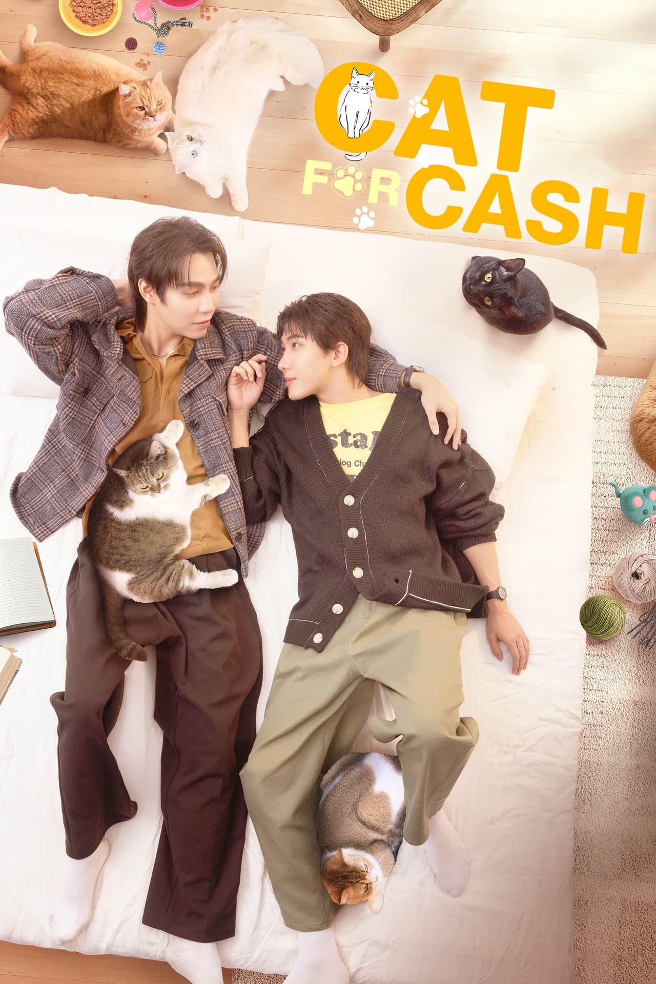 Cat for Cash preview 2