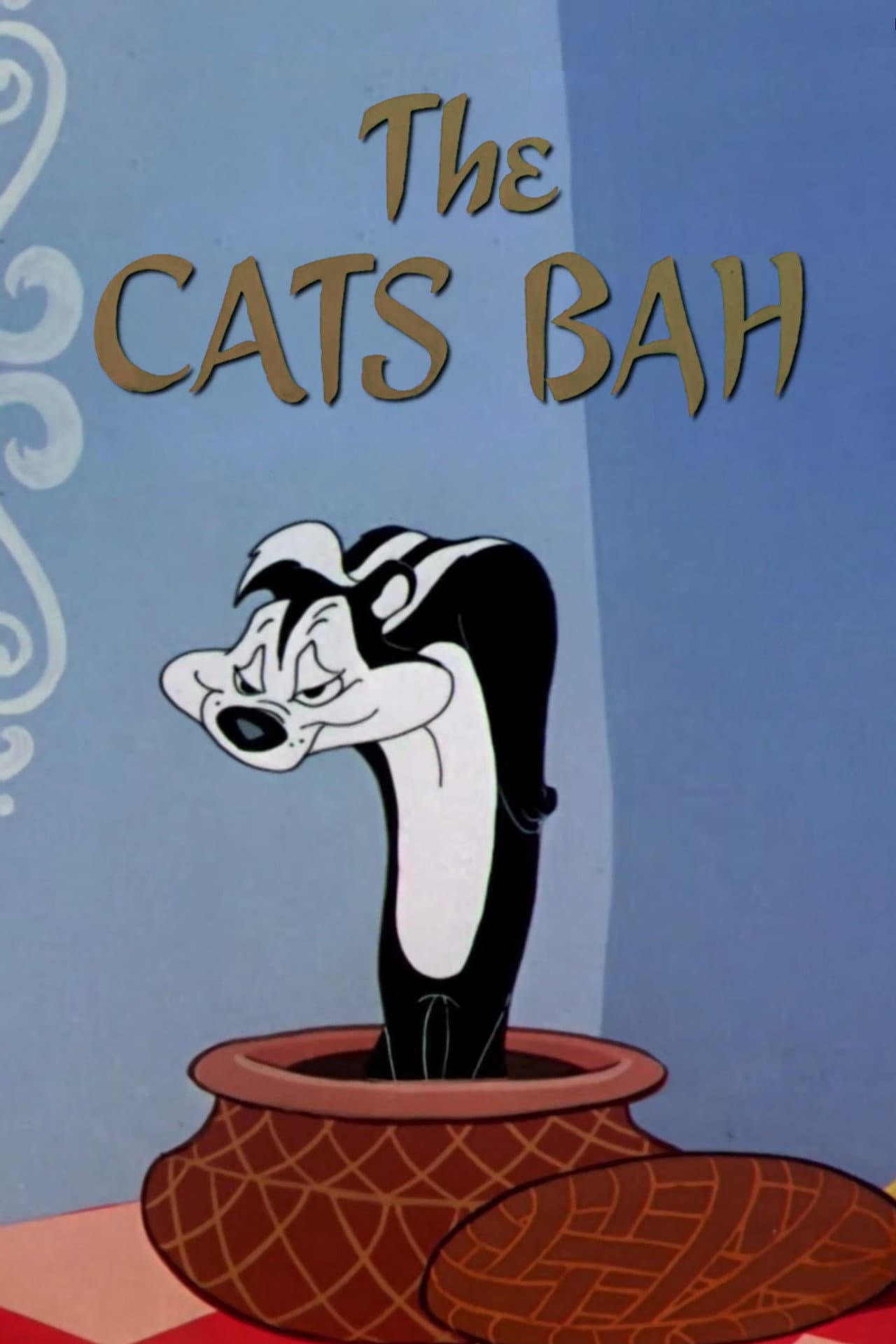 The Cats Bah preview 2