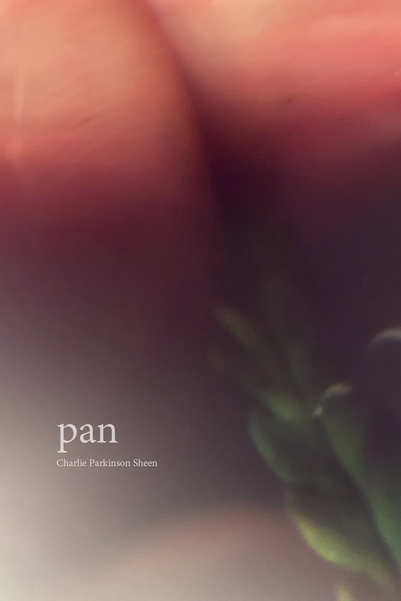 Pan preview 1