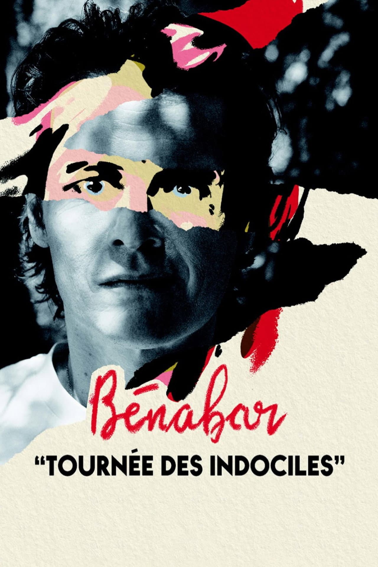 Bénabar - Tournée des indociles preview 2