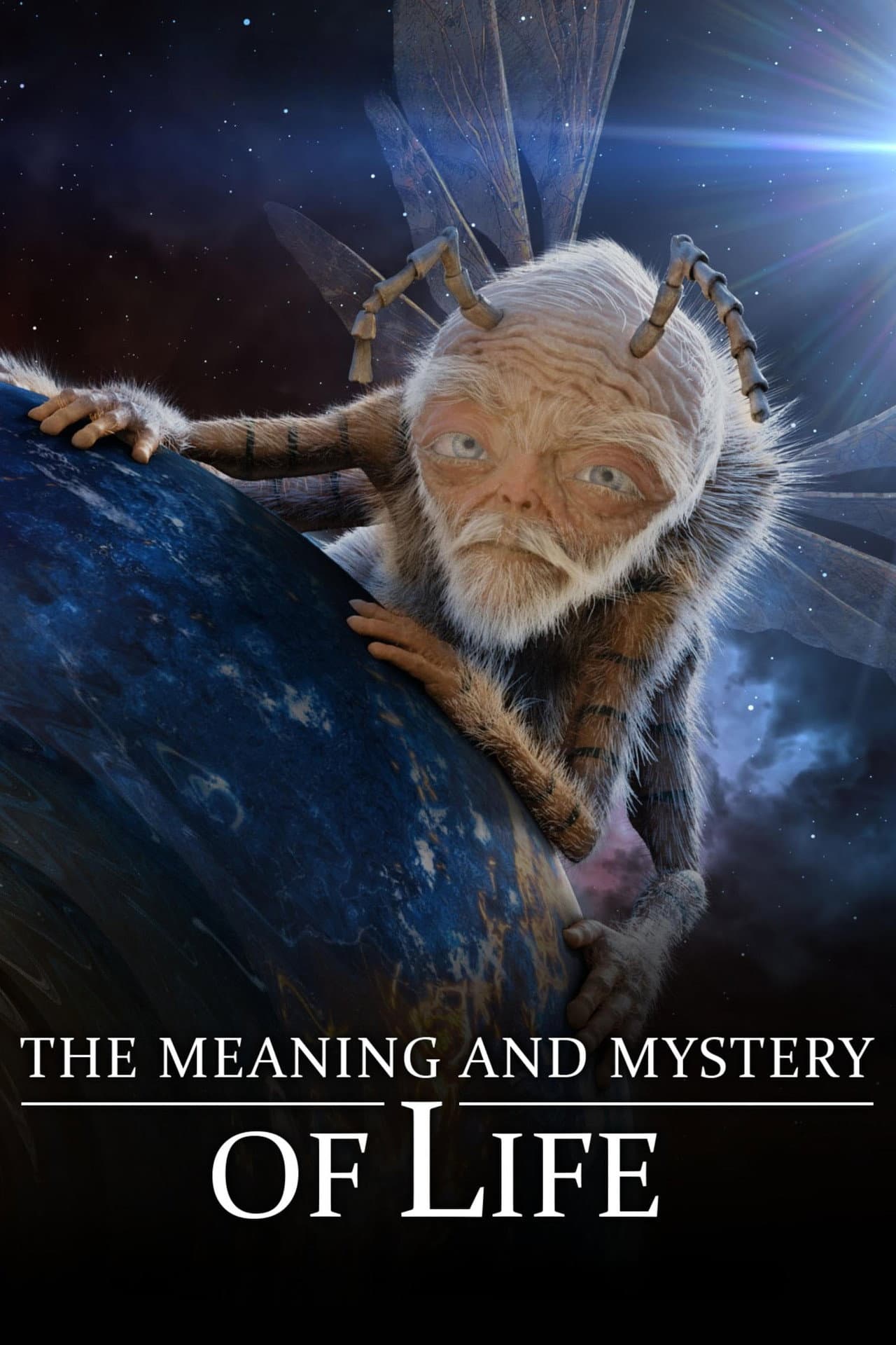 The Meaning and Mystery of Life preview 2