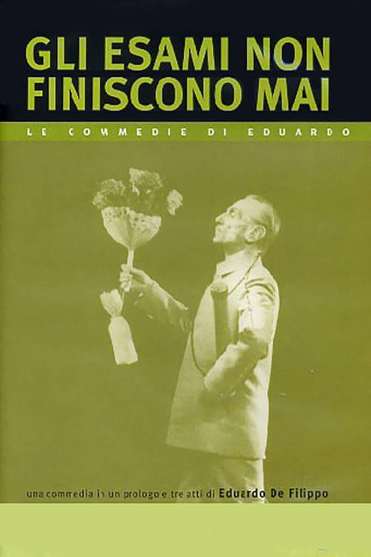 Gli esami non finiscono mai preview 1