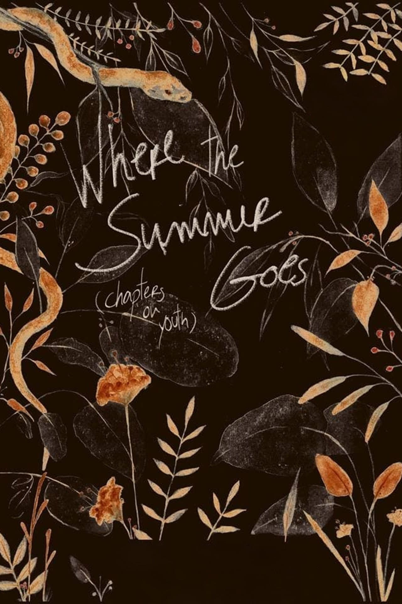 Where the Summer Goes (Chapters on Youth) preview 1