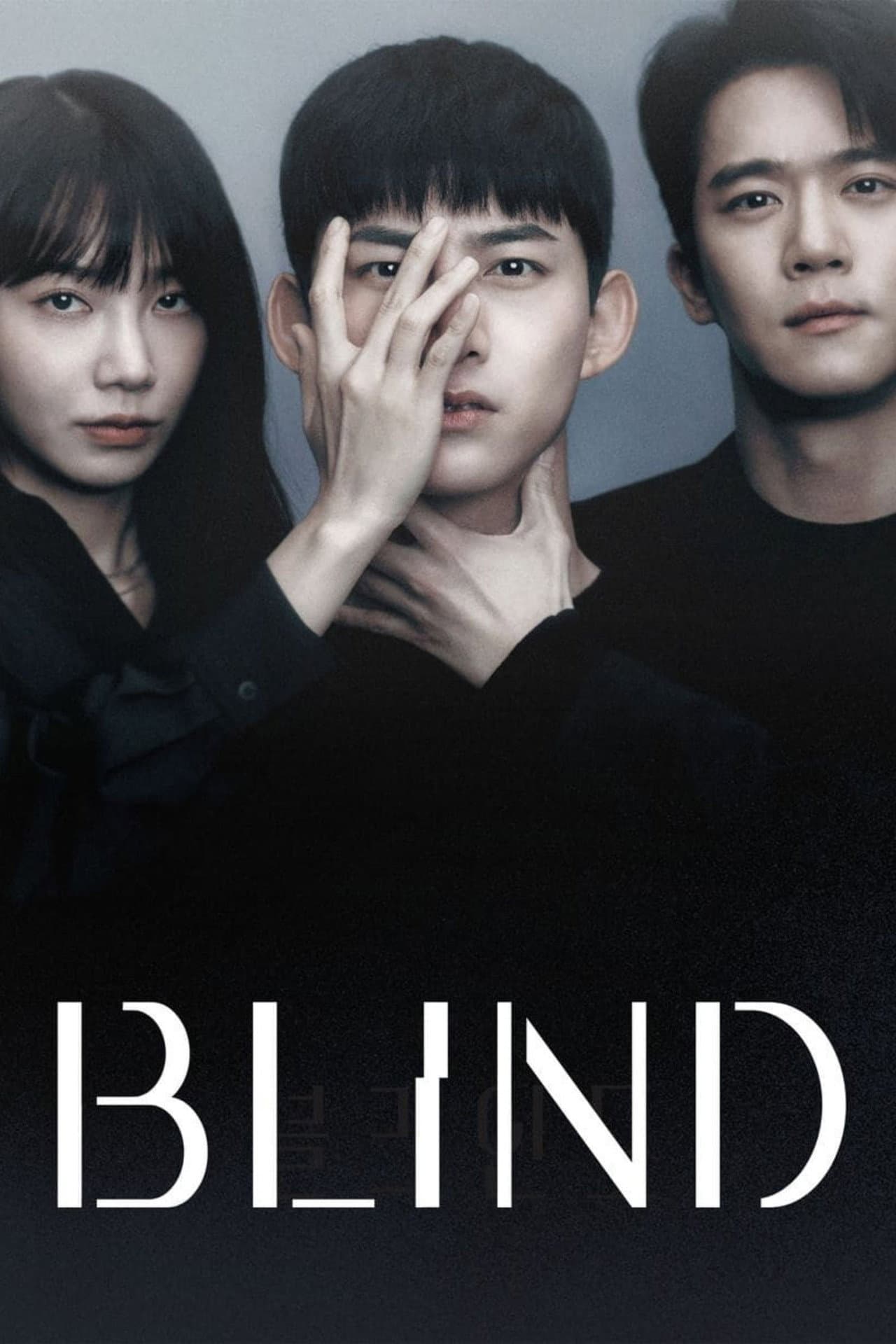 Blind preview 2