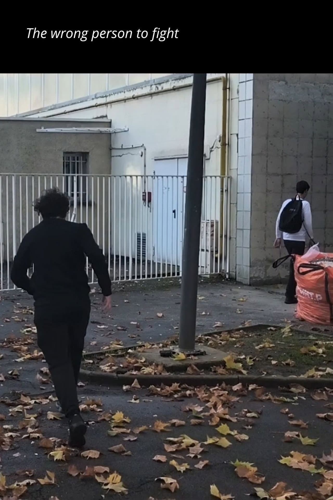 The wrong person to fight preview 1