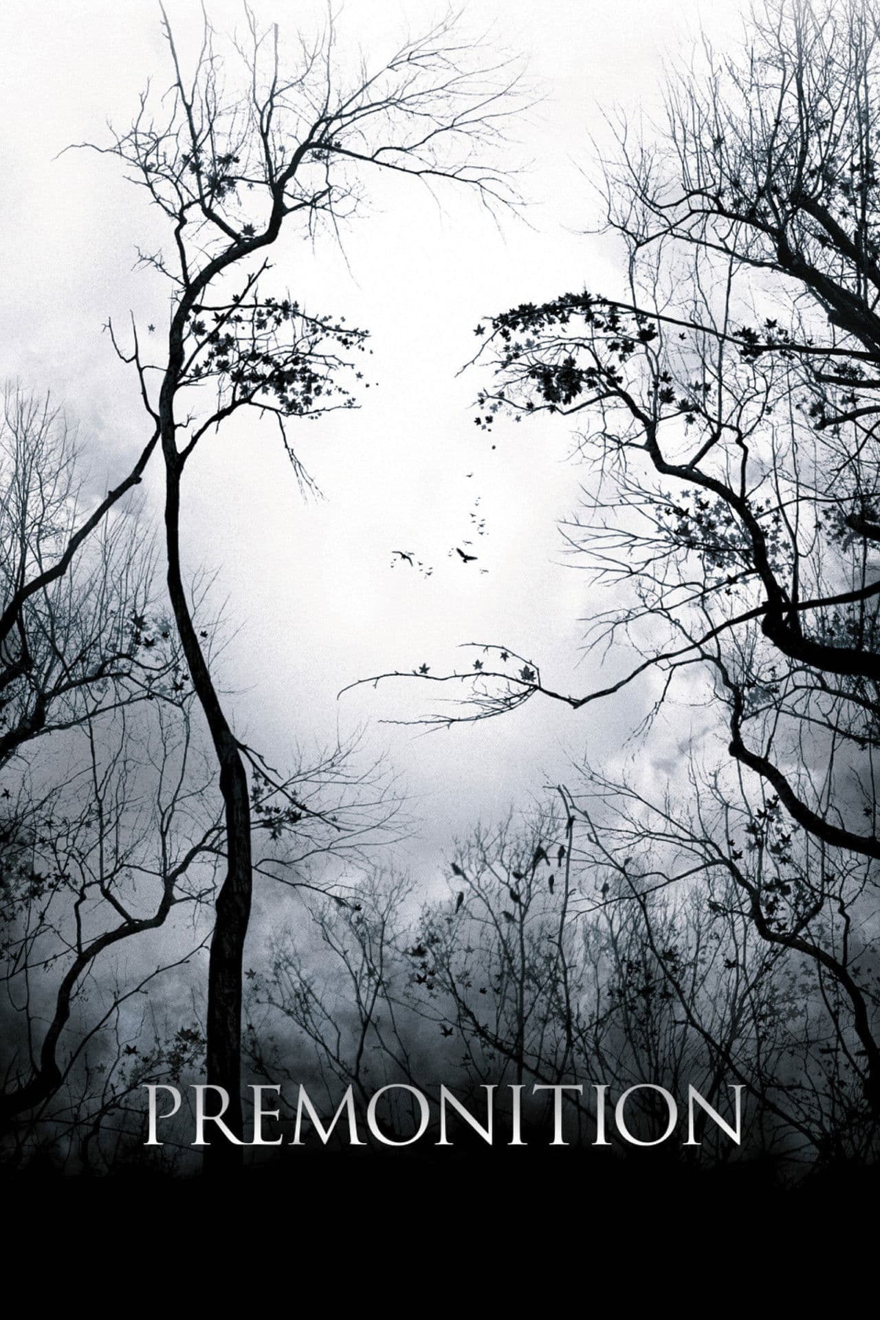 Premonition preview 2
