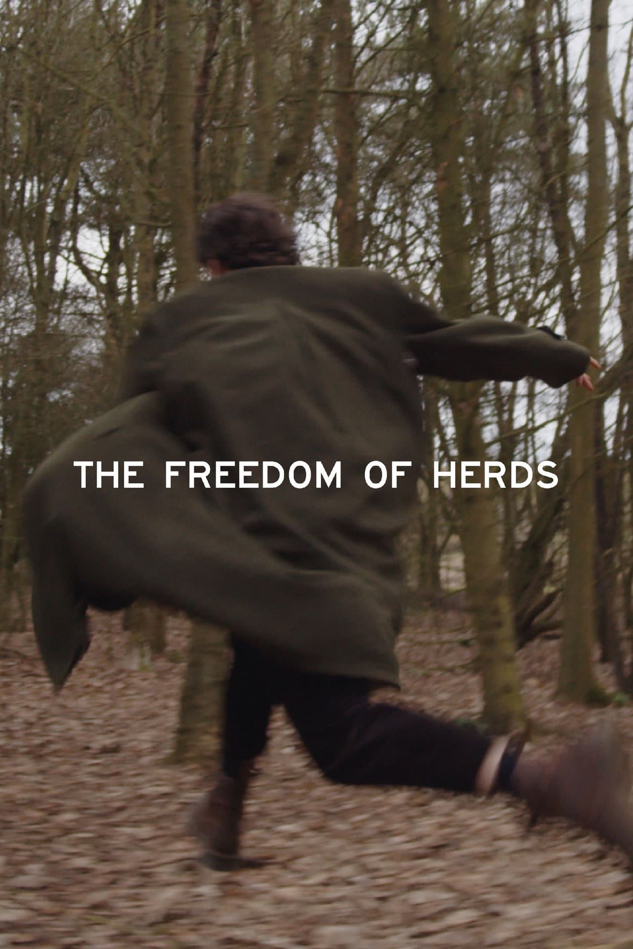 The Freedom of Herds preview 2