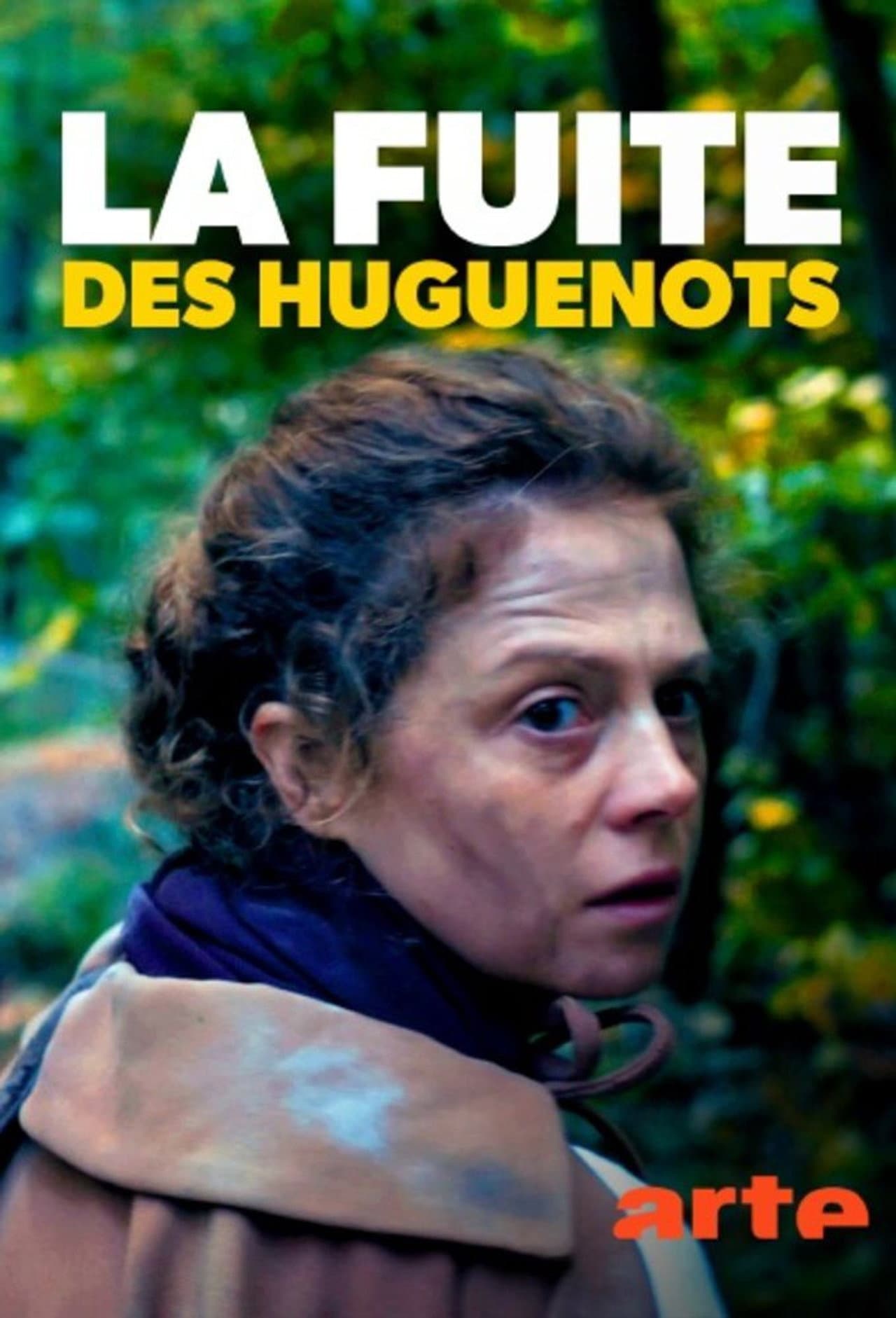 Huguenot Refugees preview 2