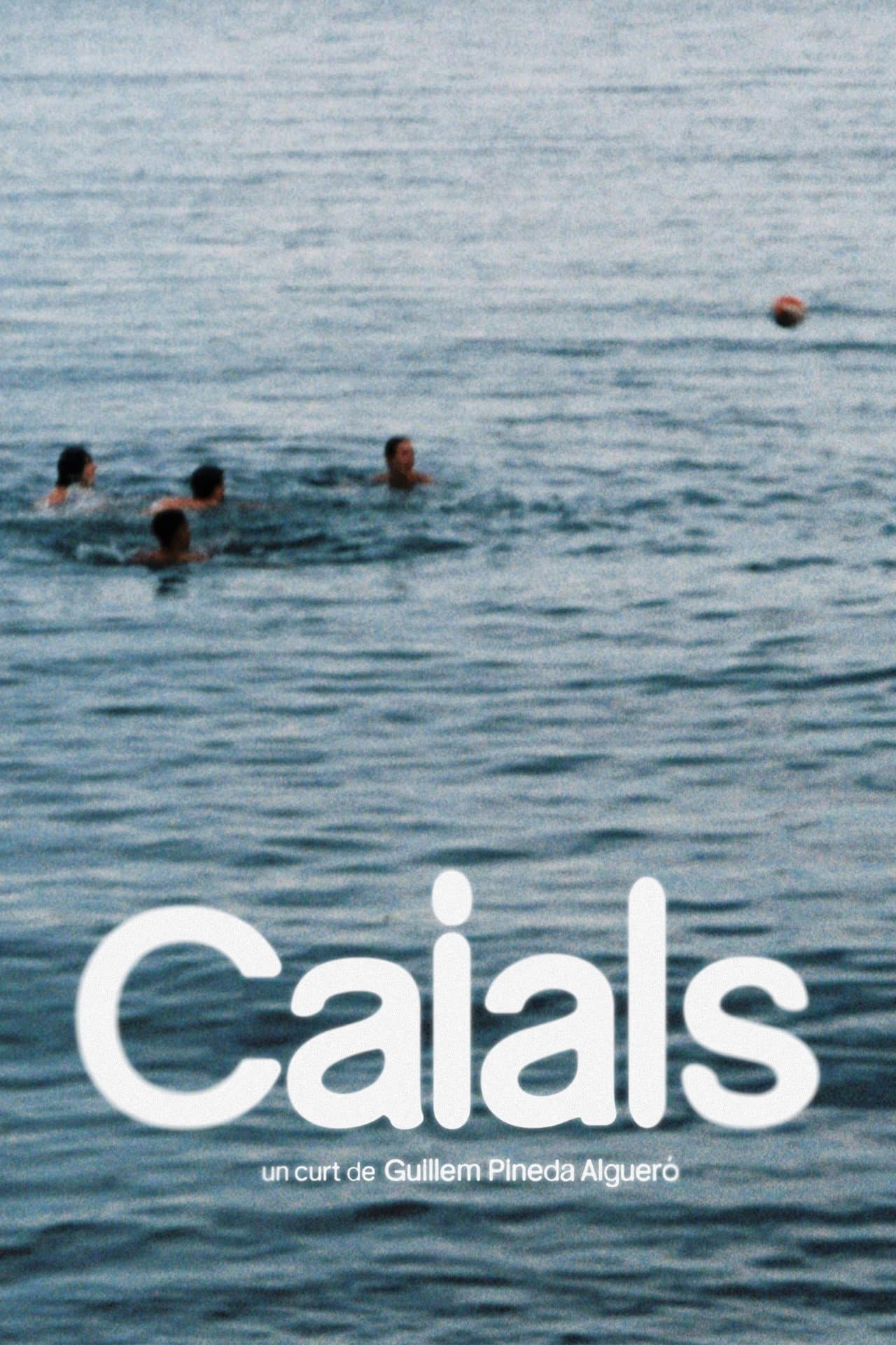 Caials preview 2