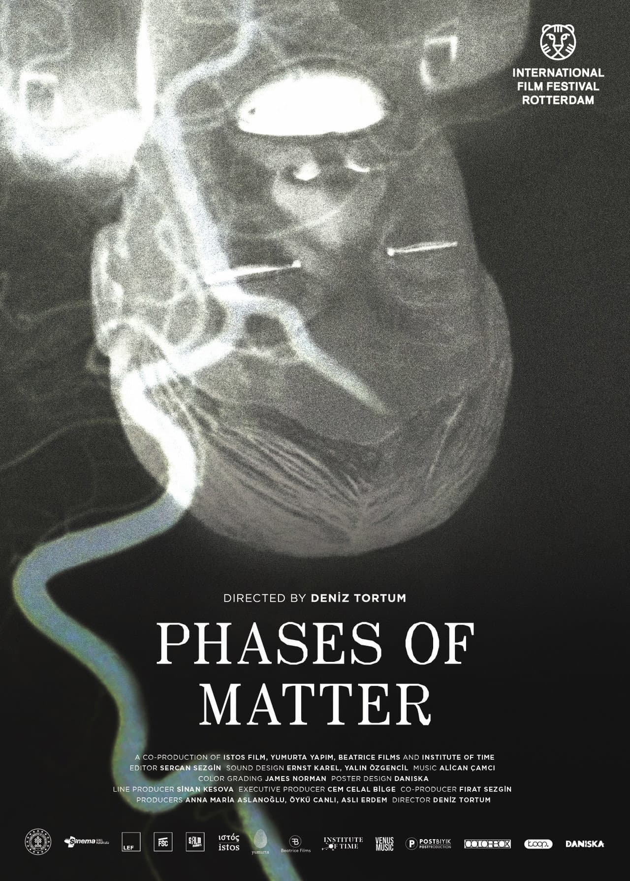 Phases of Matter preview 2