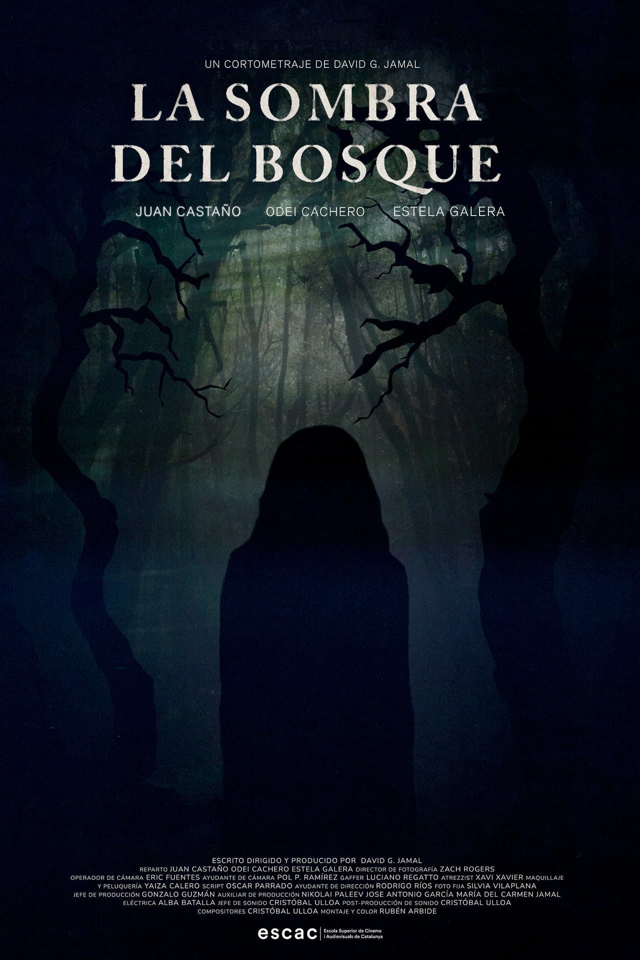 La Sombra del Bosque preview 1