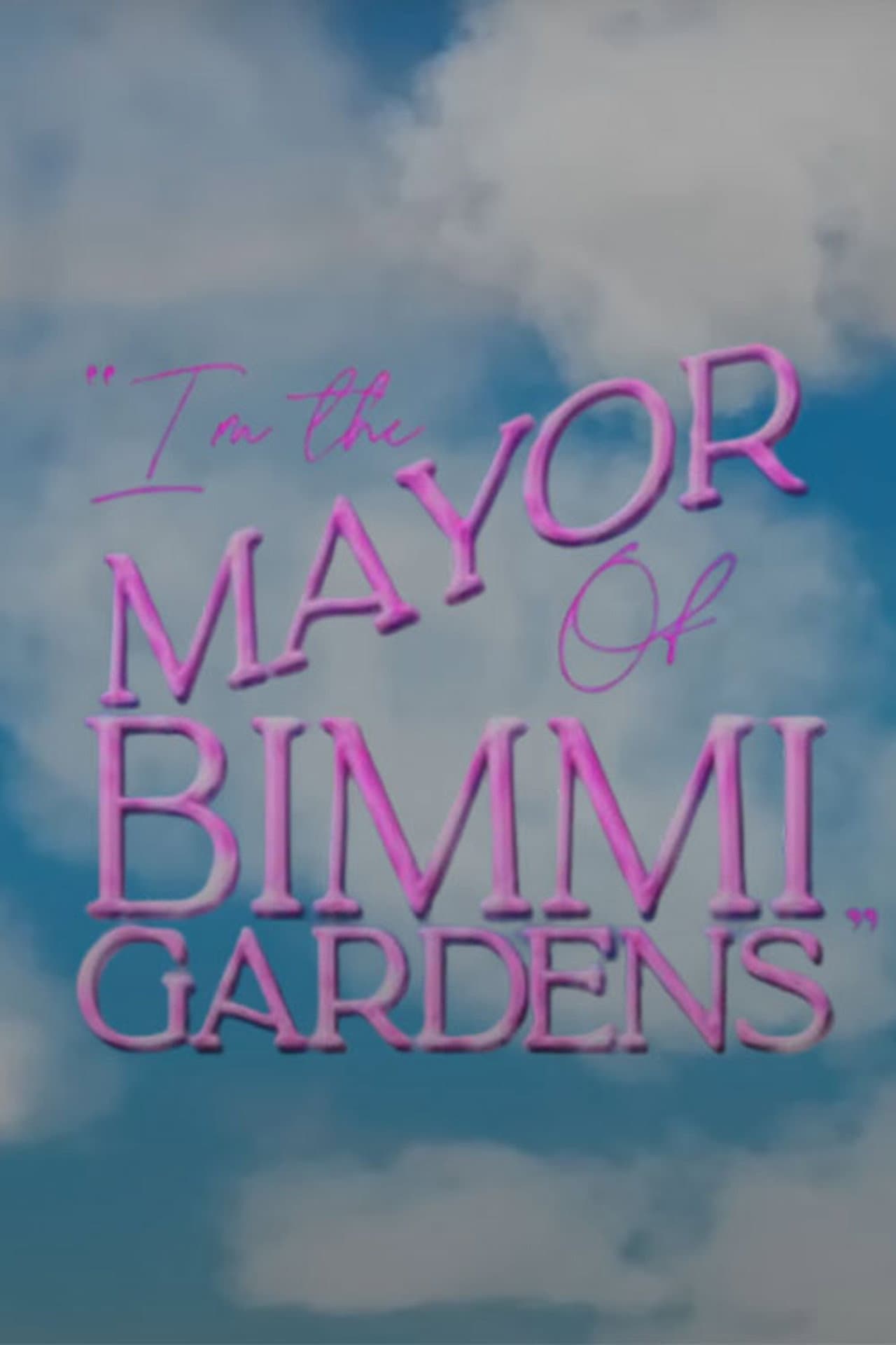 I'm the Mayor of Bimmi Gardens preview 2