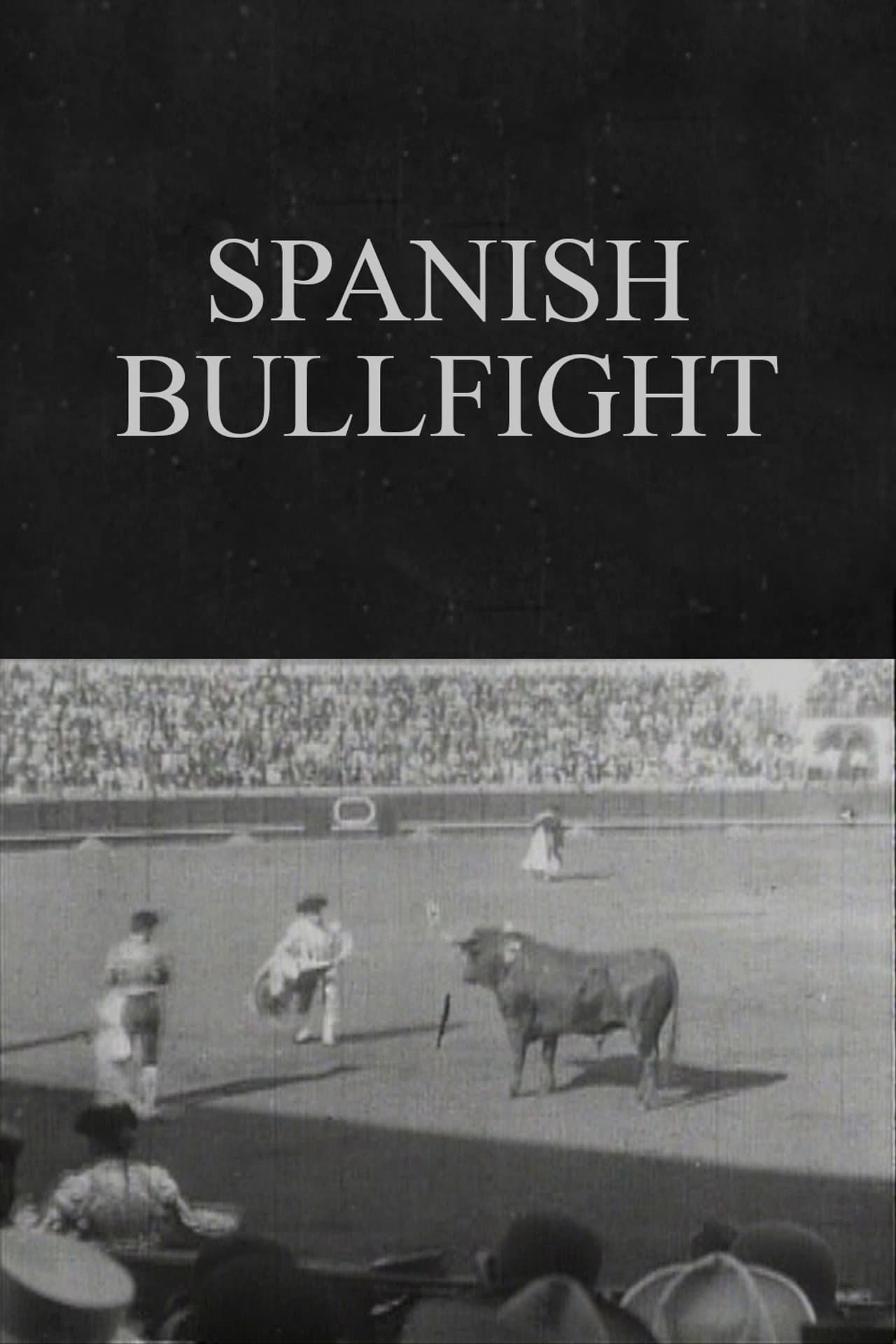 Spanish Bullfight preview 1