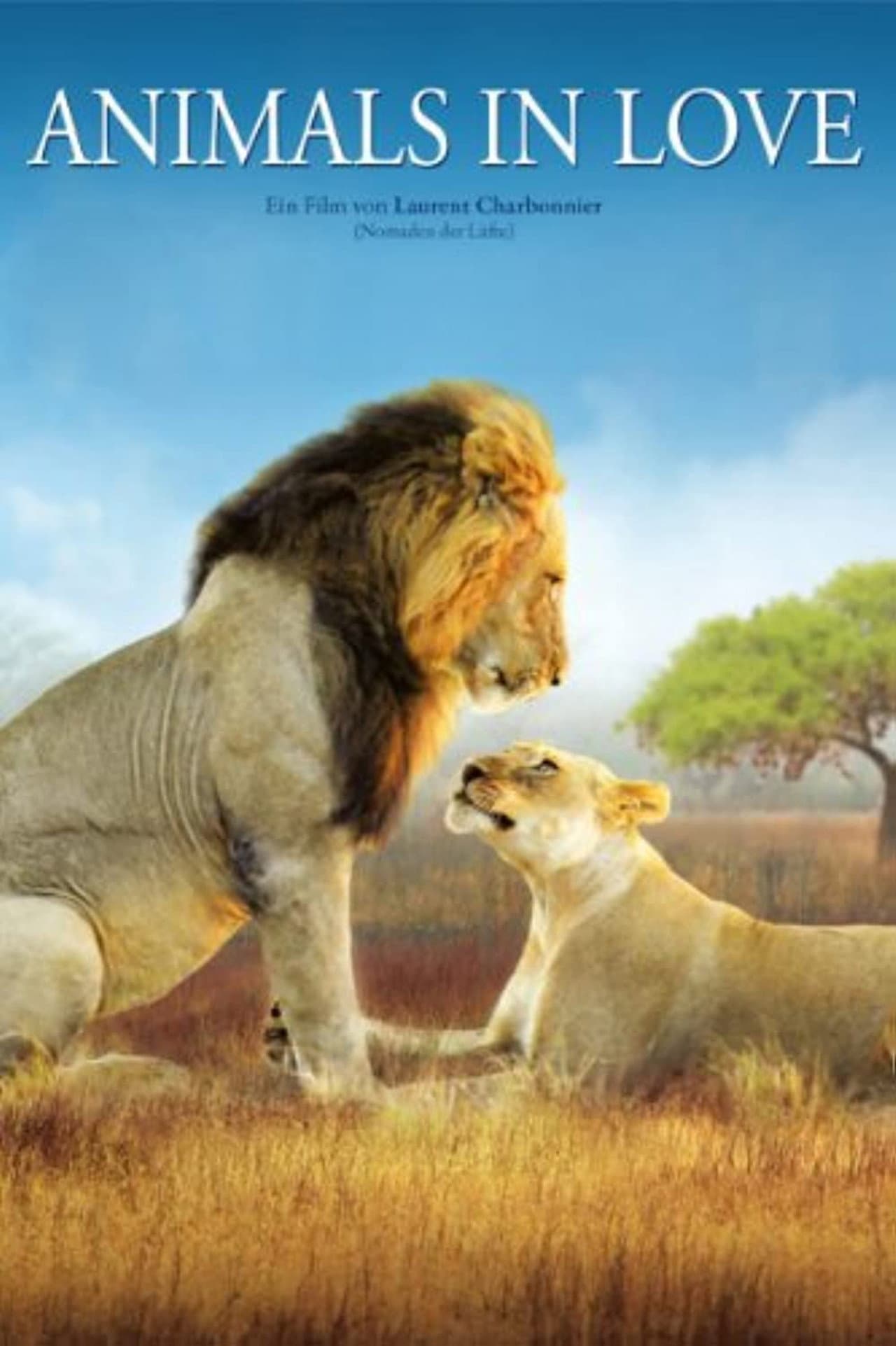 Animals in Love preview 2
