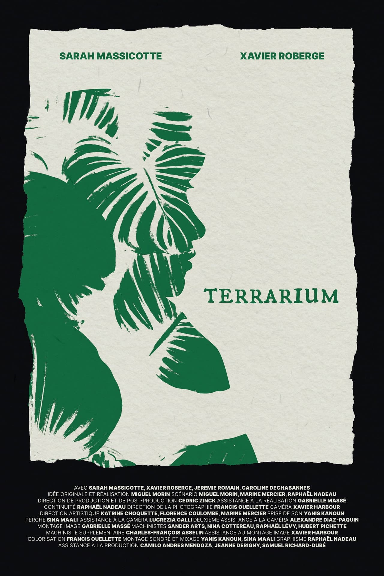 Terrarium preview 1