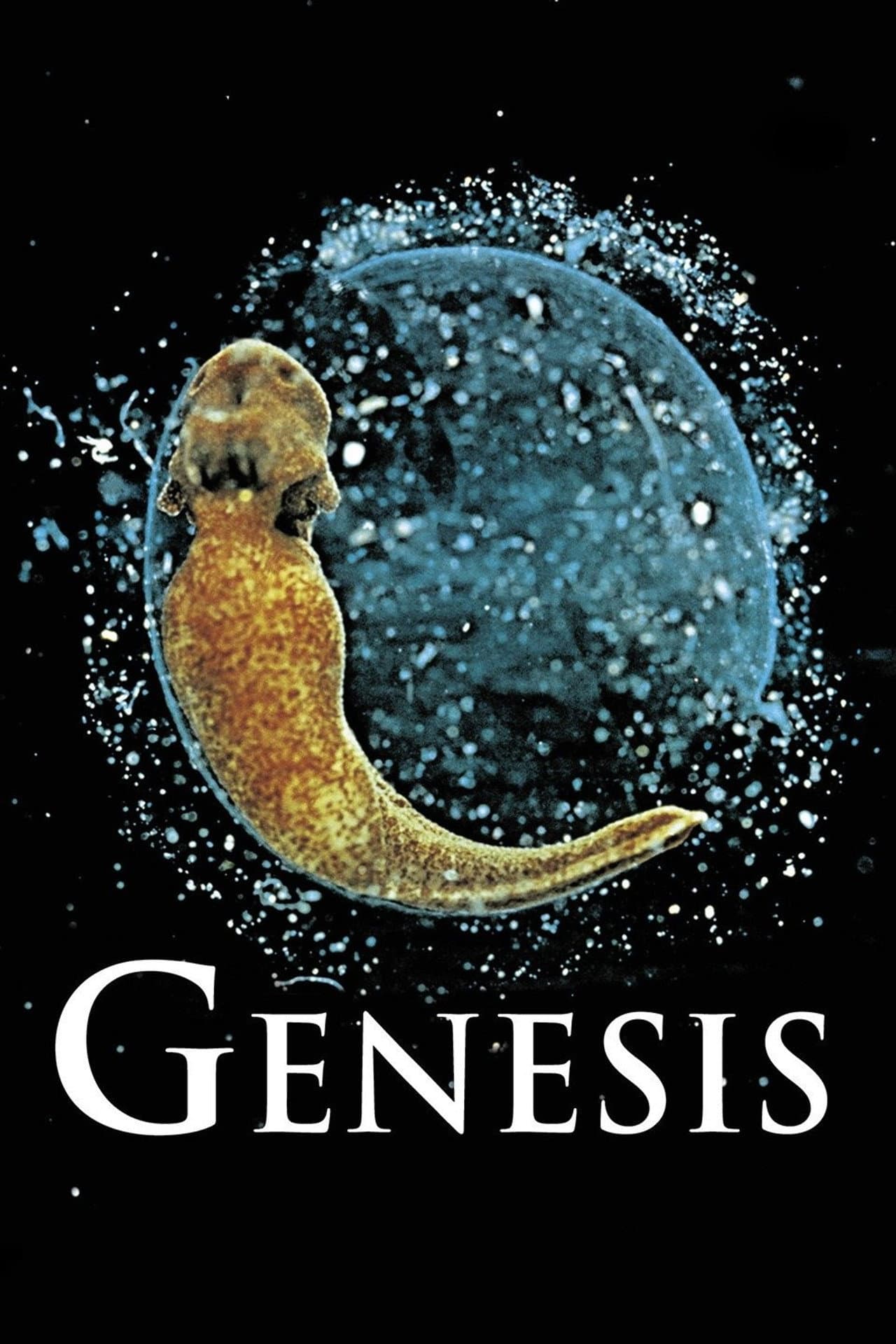 Genesis preview 2