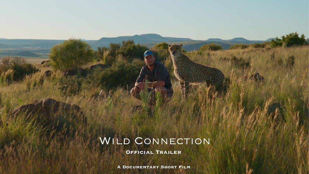 Wild Connection