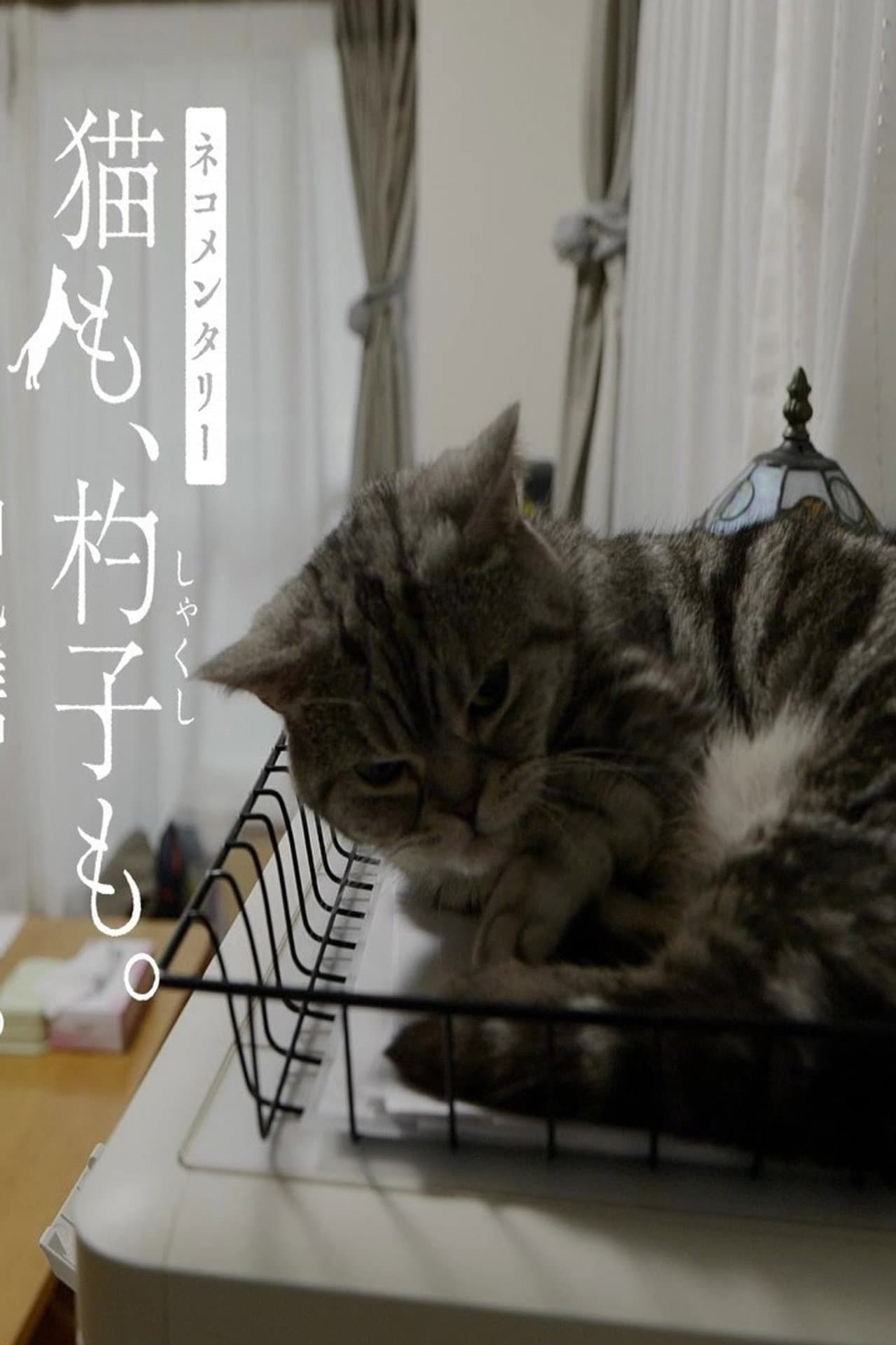 ネコメンタリー preview 1