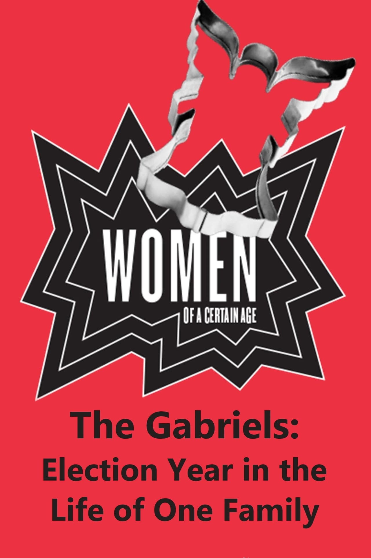 The Gabriels: Election Year in the Life of One Family, Play Three: Women of a Certain Age preview 1