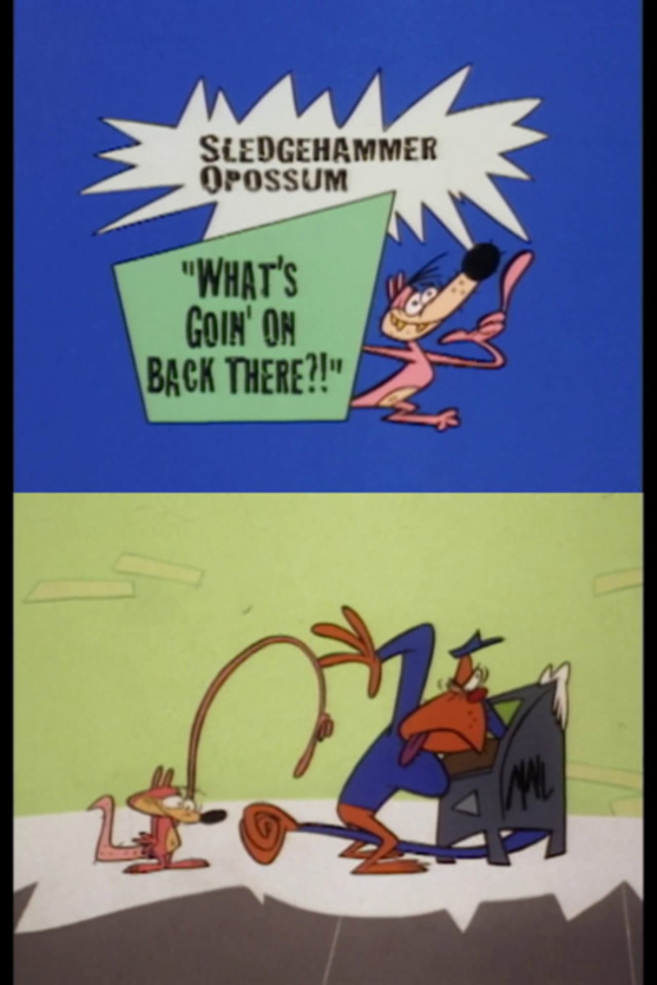 Sledgehammer O'Possum - What's Going on Back There? preview 2