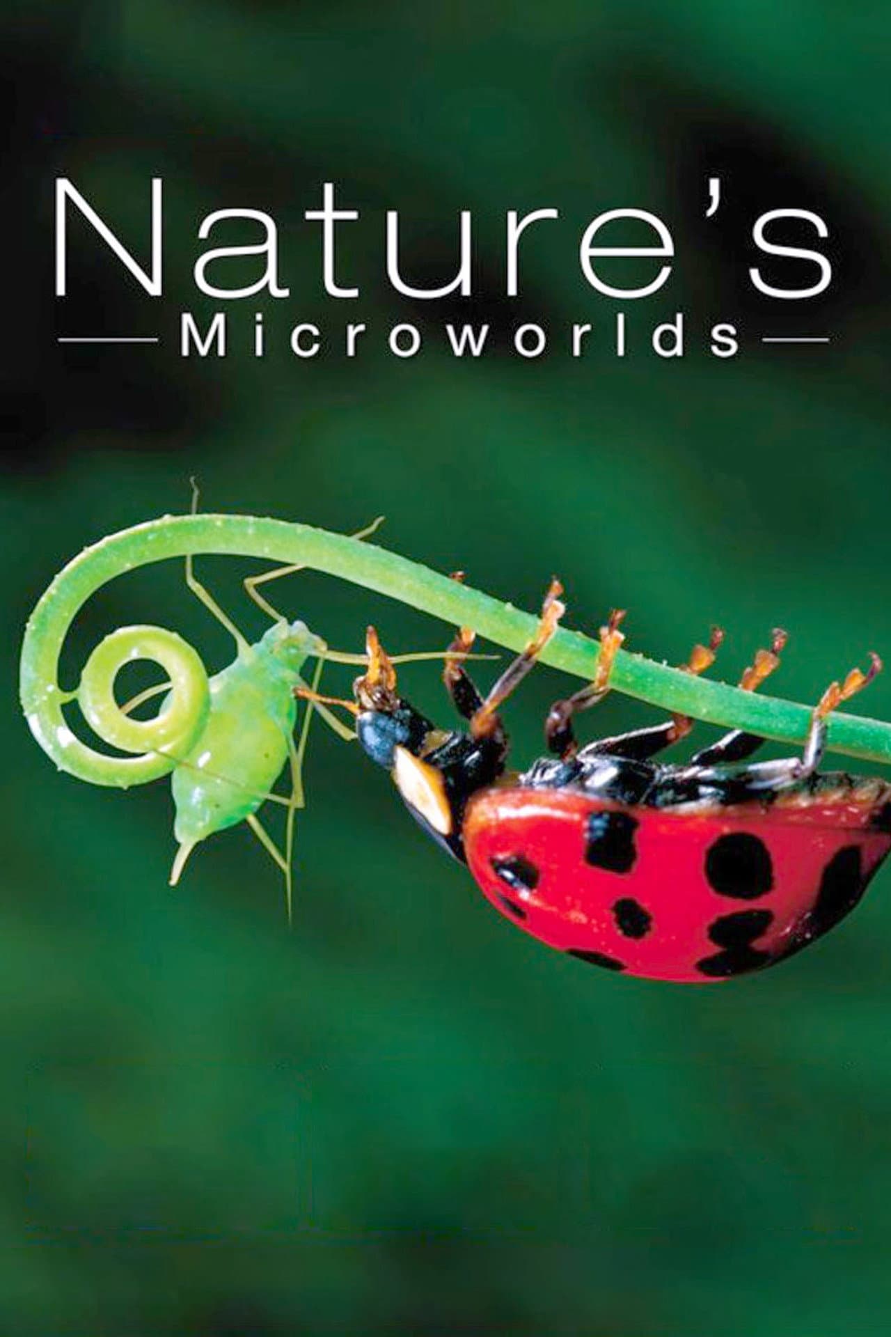 Nature's Microworlds preview 2