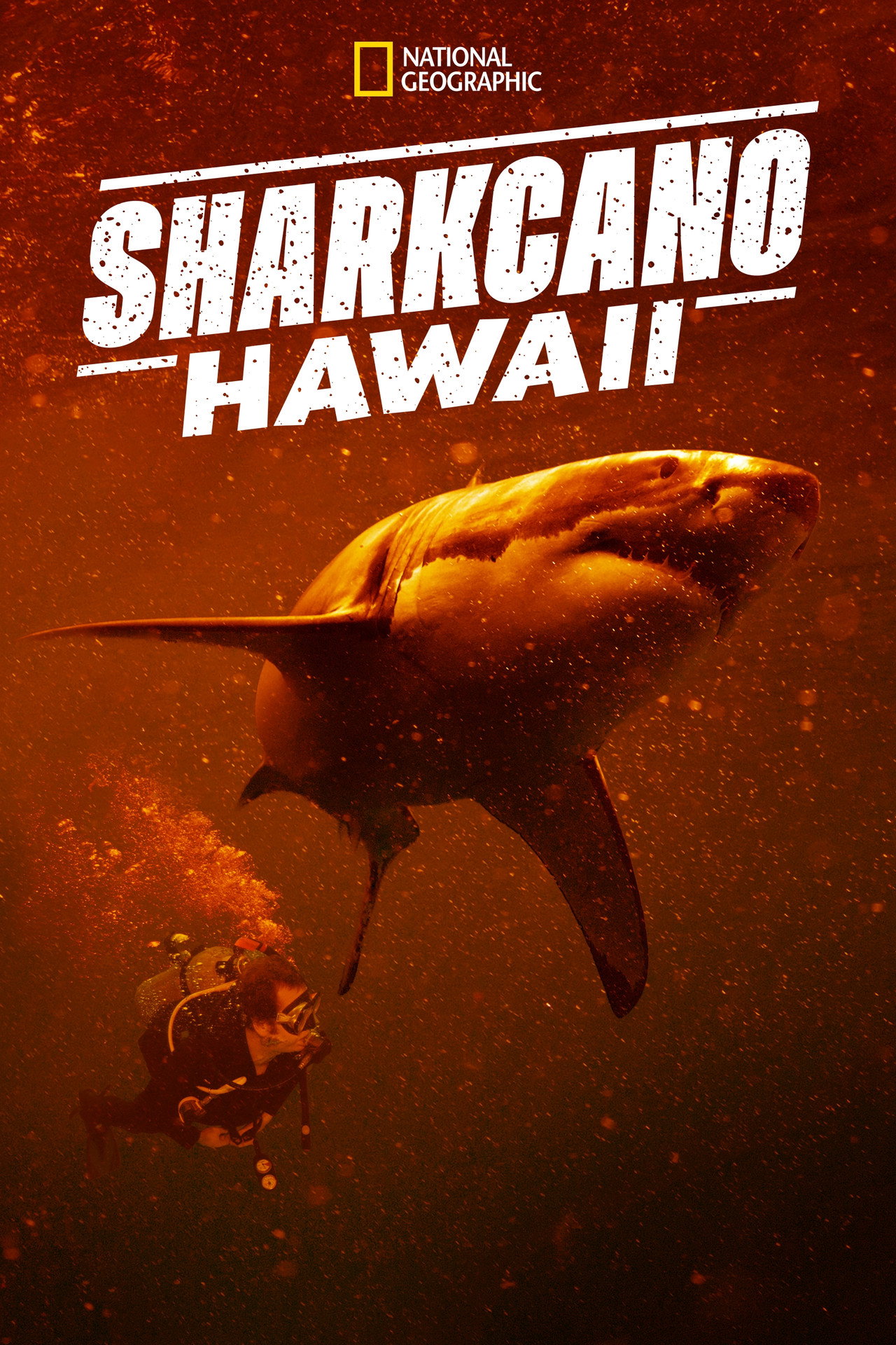 Sharkcano: Hawaii preview 2