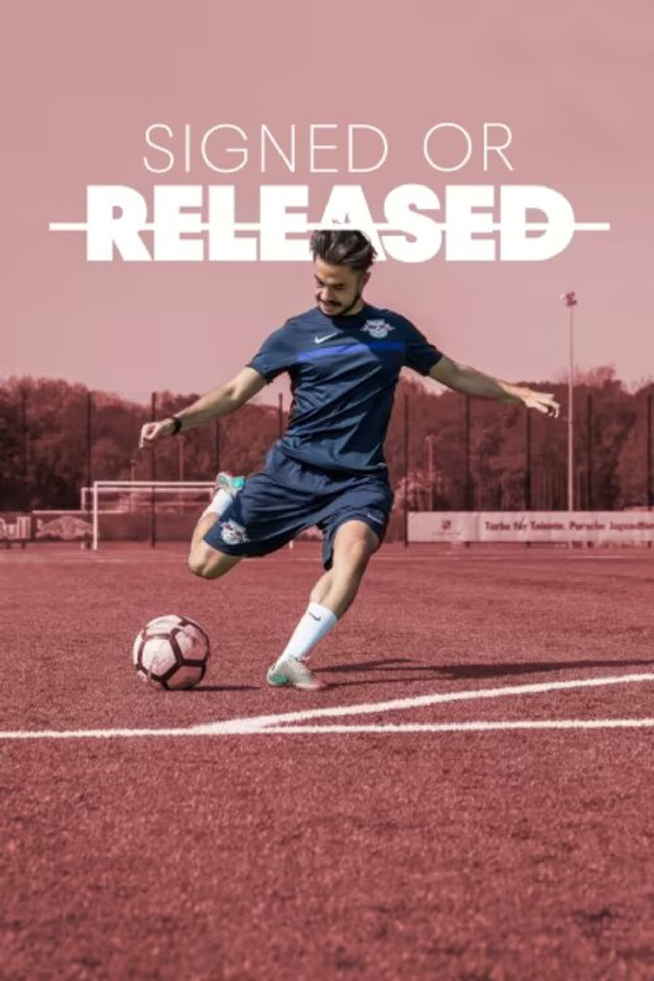 Signed or Released preview 2