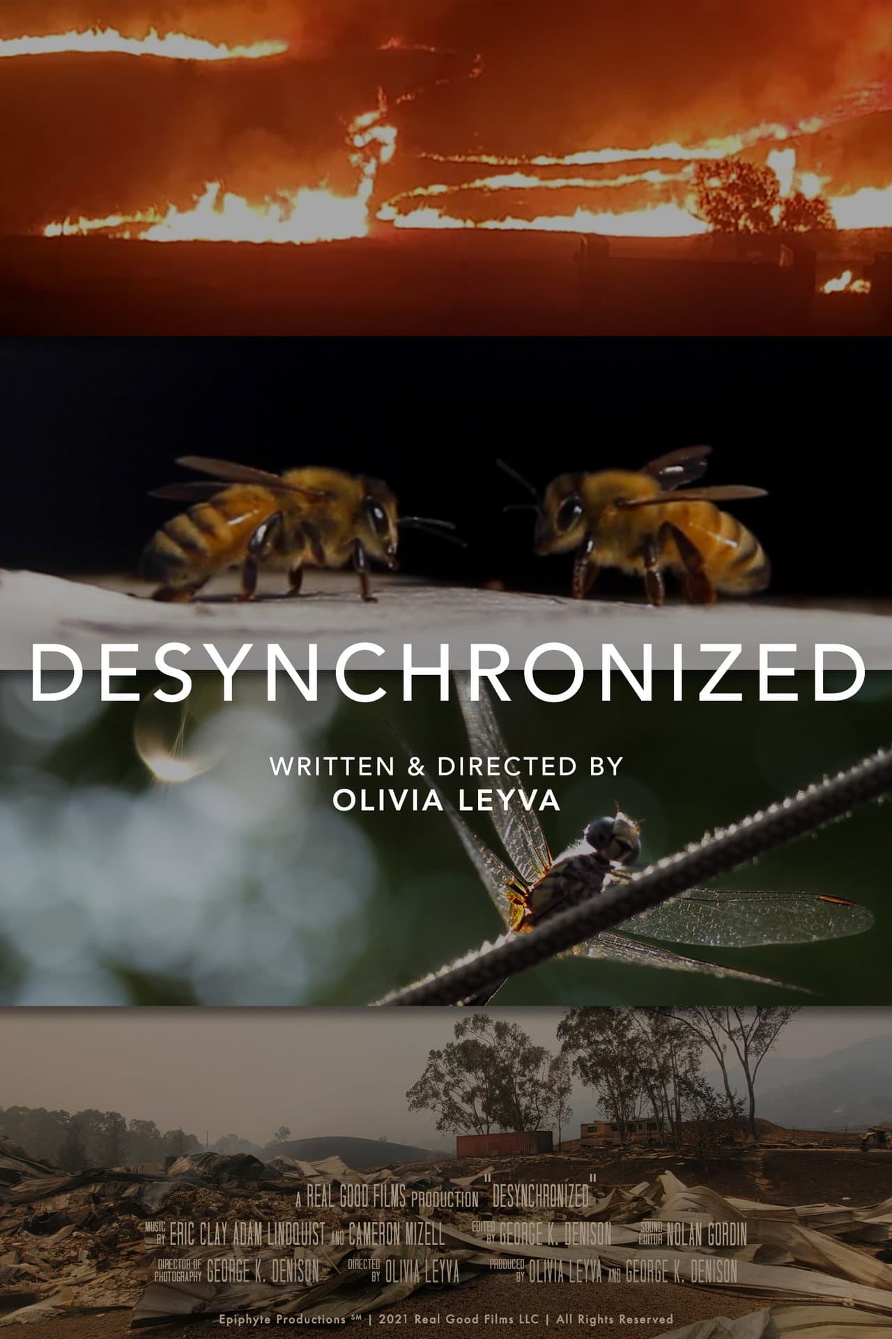 Desynchronized preview 2