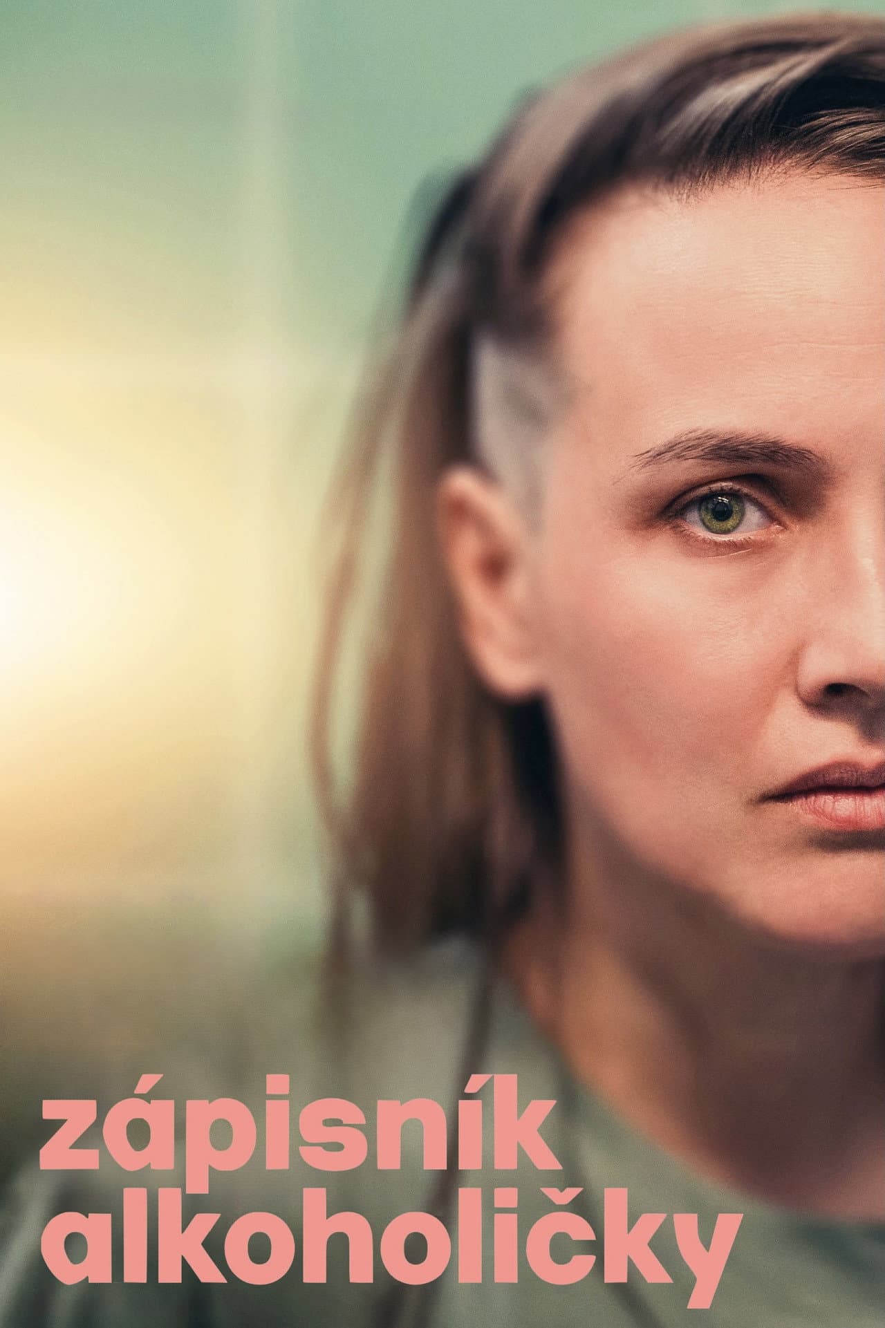 Diary of an Alcoholic preview 2