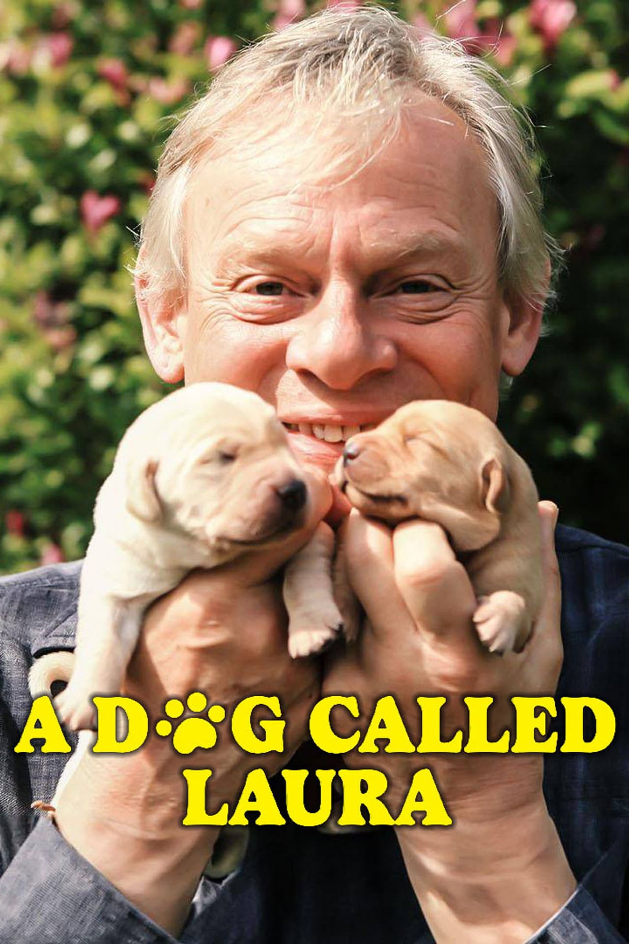 A Dog Called Laura preview 2