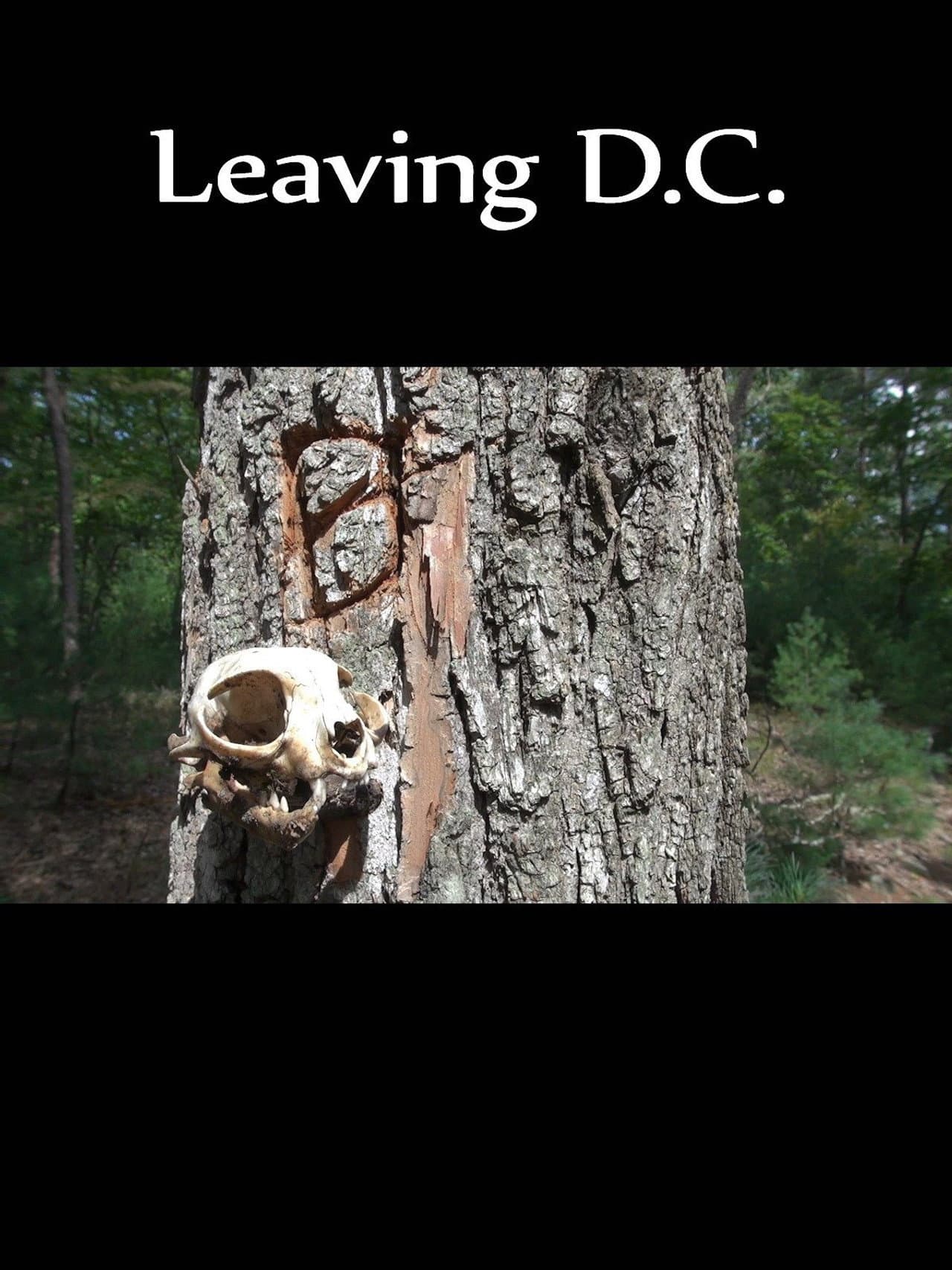 Leaving D.C. preview 2