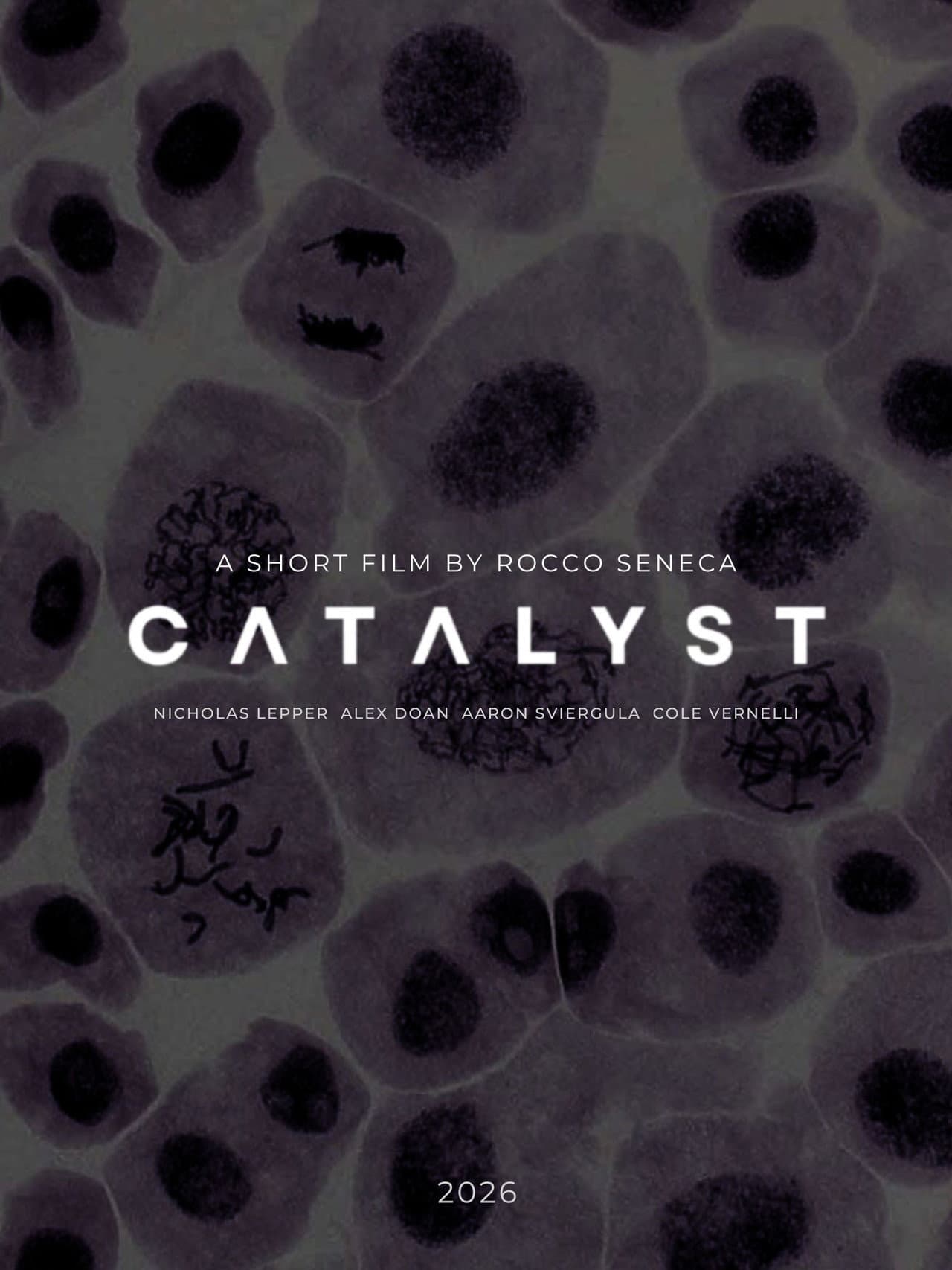 Catalyst preview 1