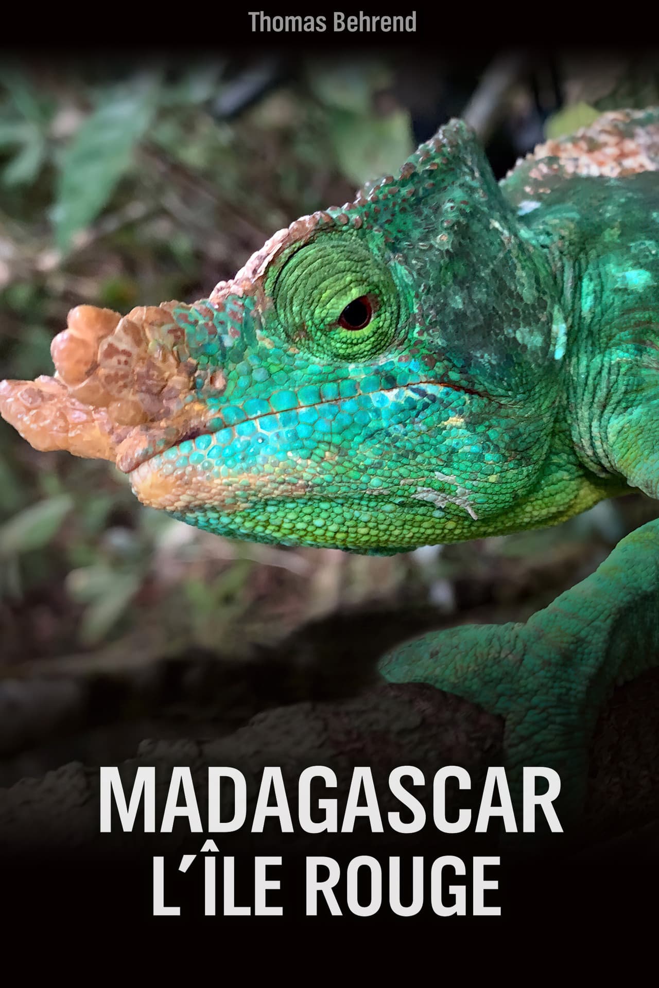 Unbekanntes Madagaskar preview 2