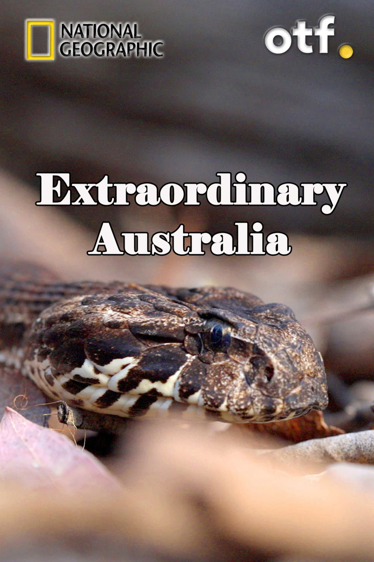 Extraordinary Australia preview 2