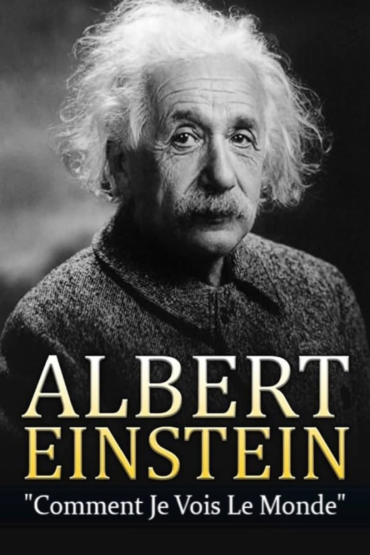 Albert Einstein - Comment je vois le Monde preview 1