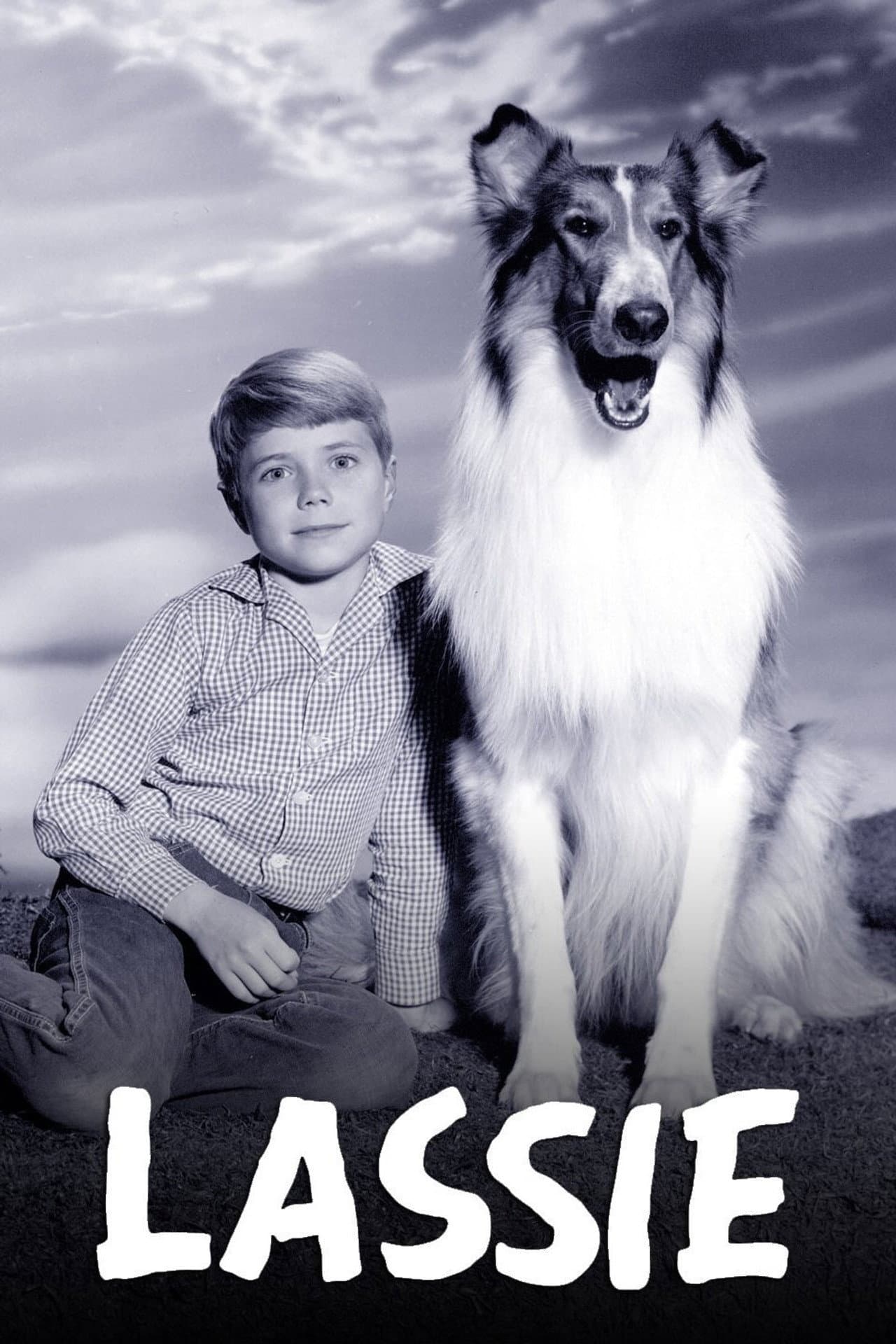 Lassie preview 2