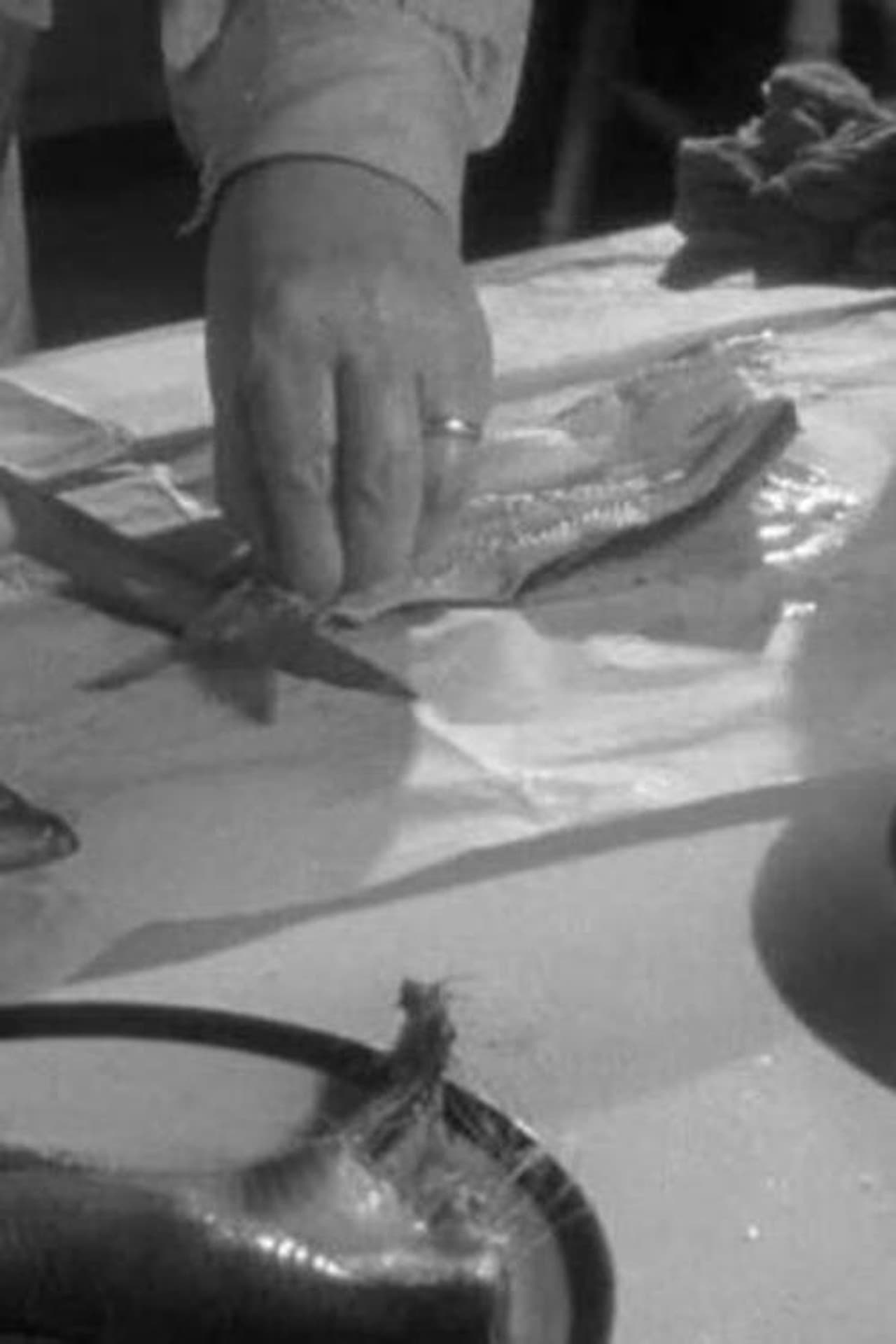 Herrings preview 1